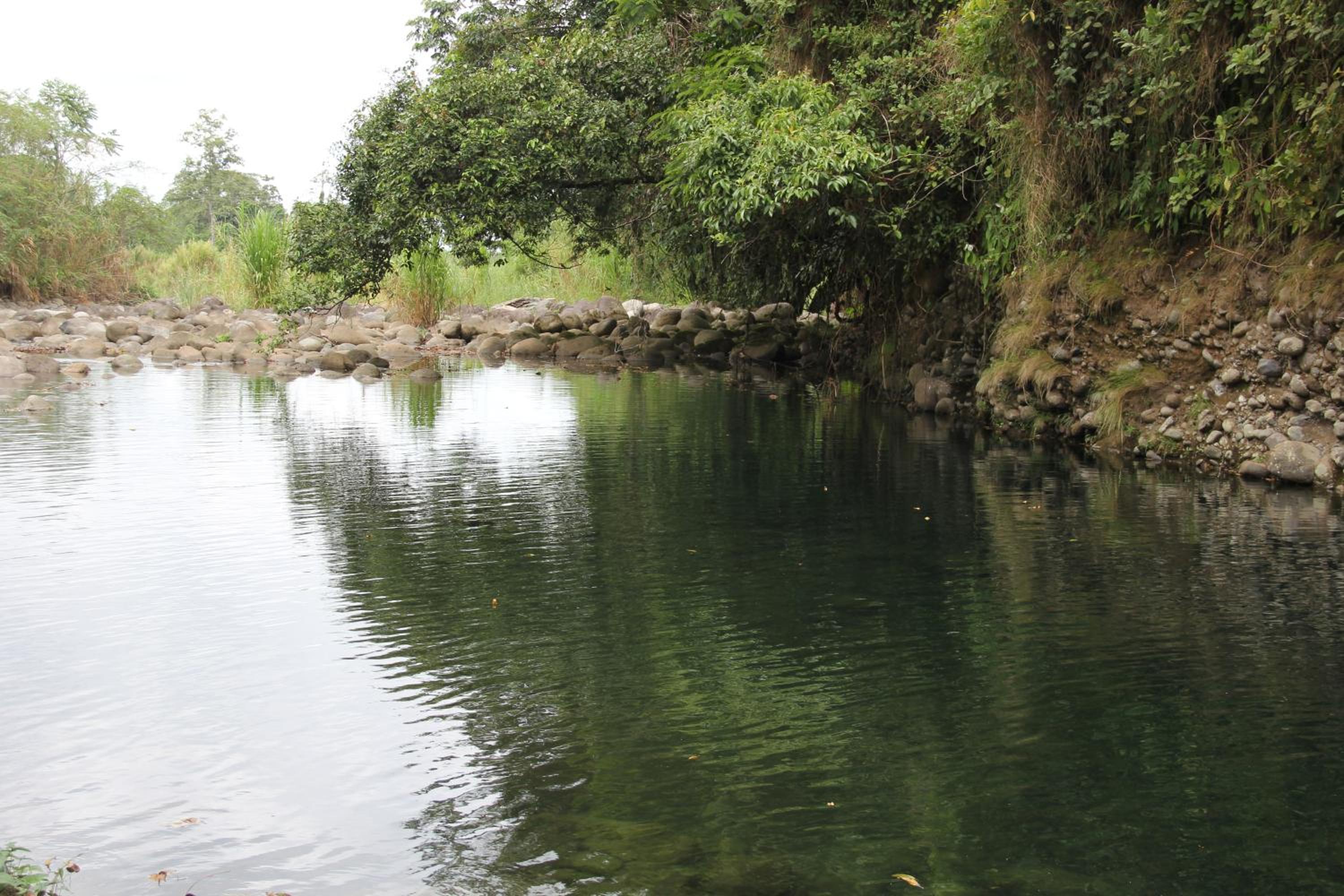 Horquetas River Lodge