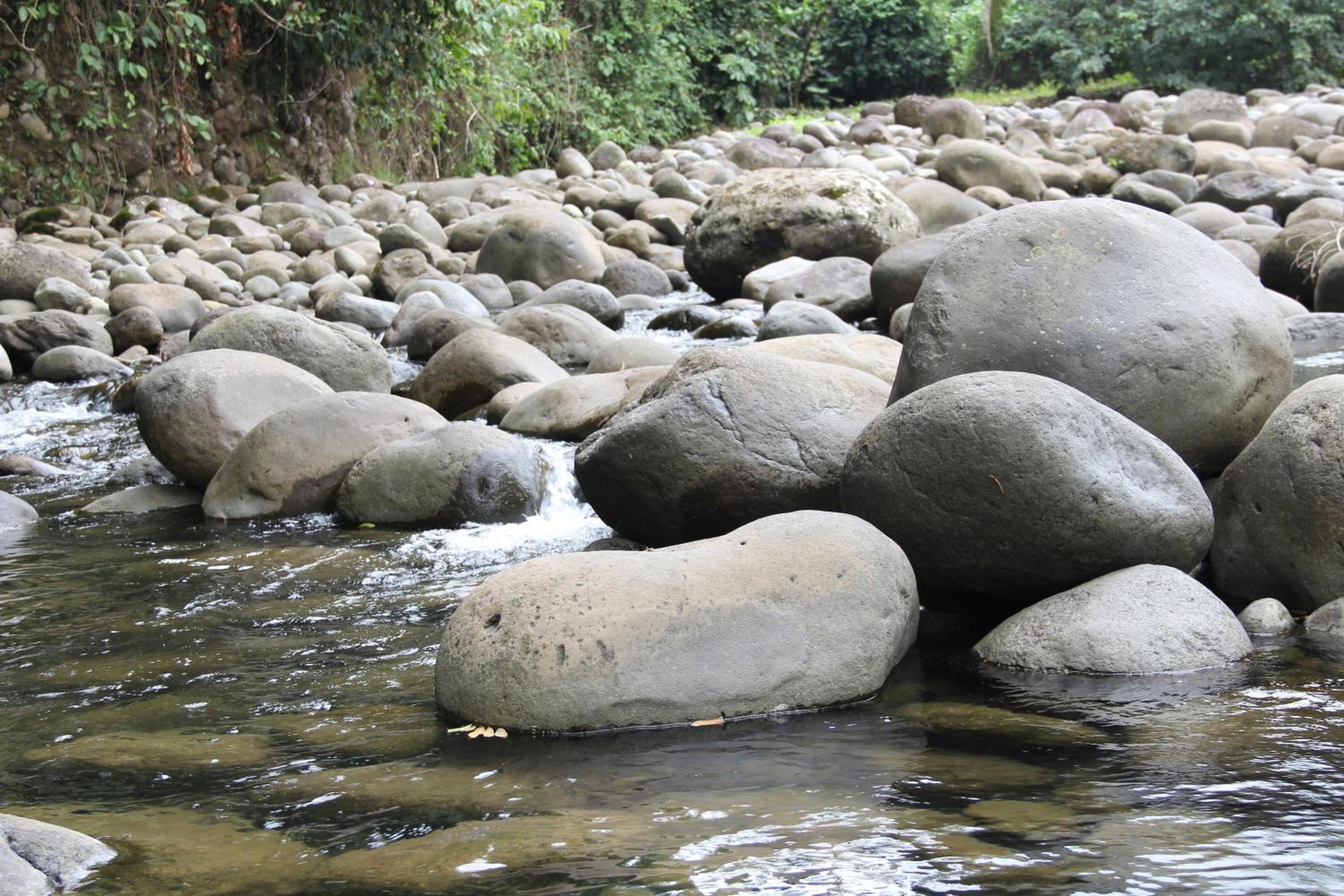 Horquetas River Lodge