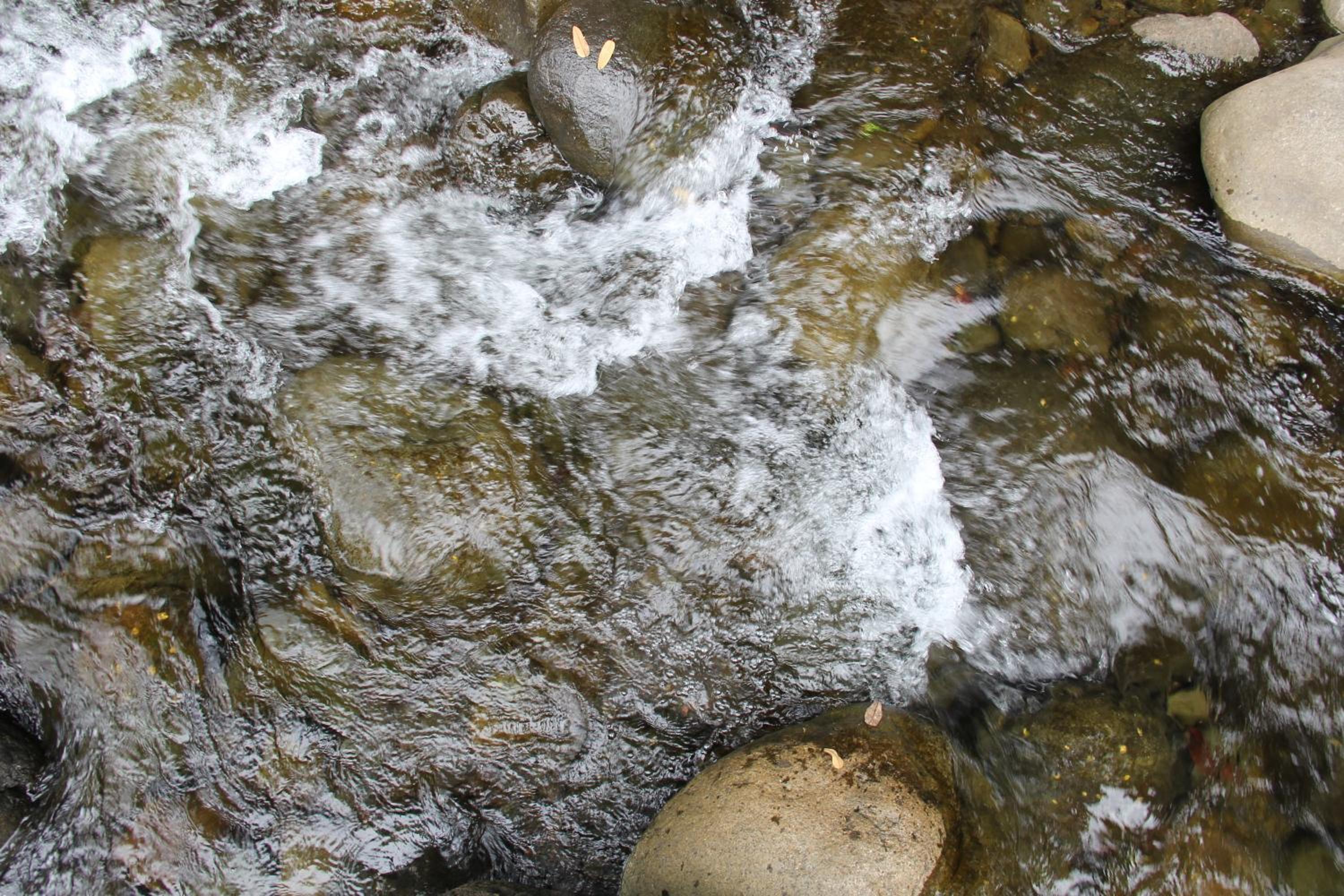 Horquetas River Lodge