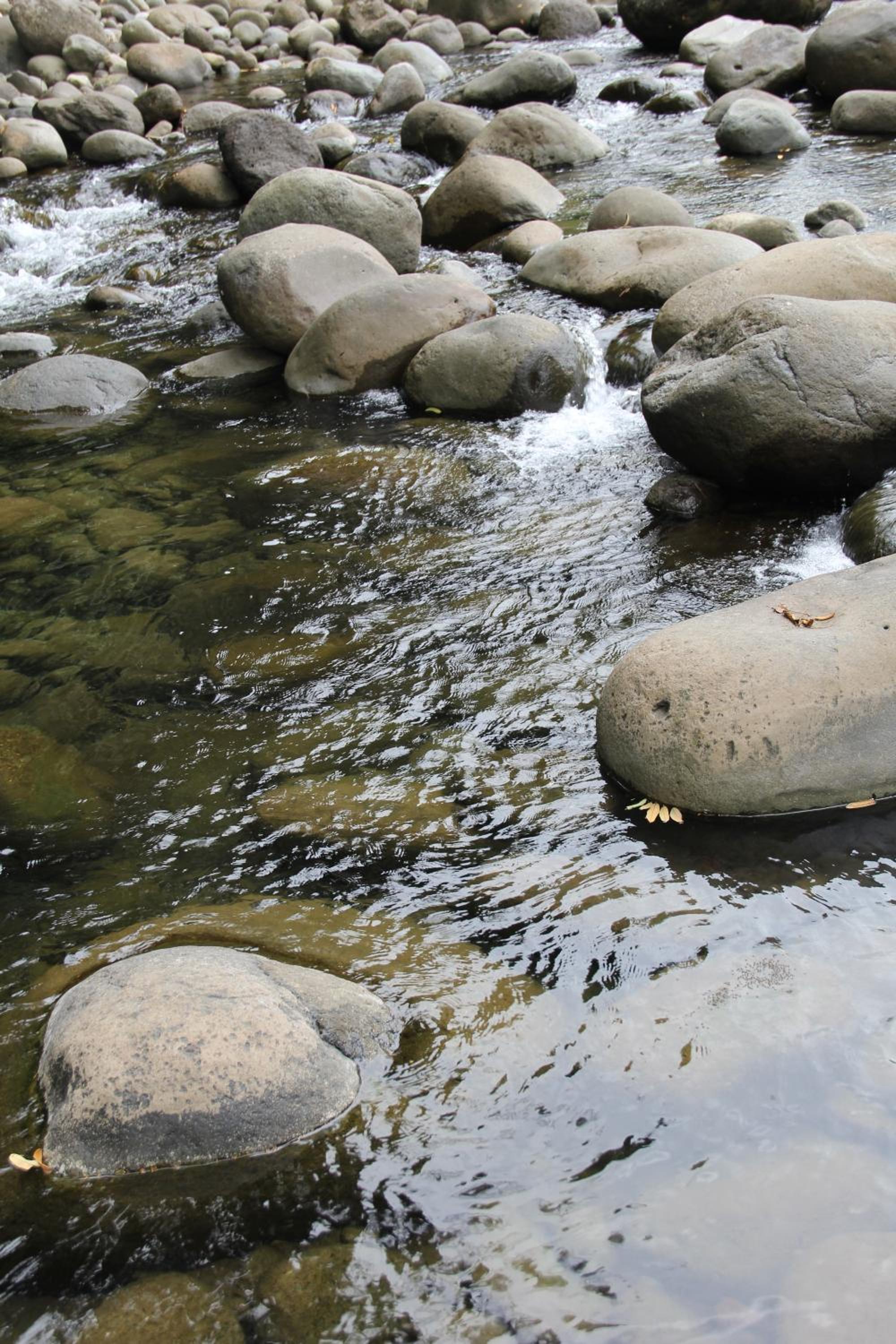 Horquetas River Lodge