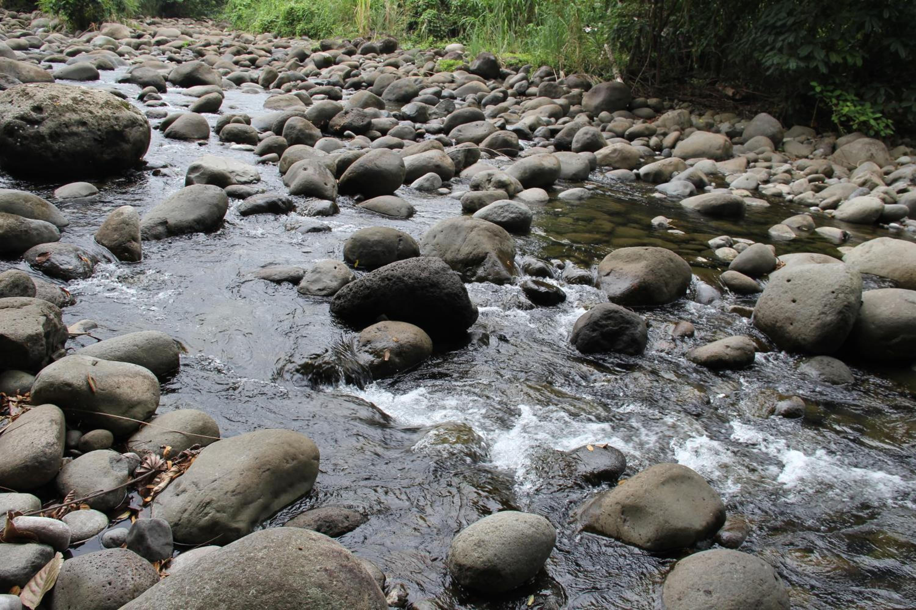 Horquetas River Lodge