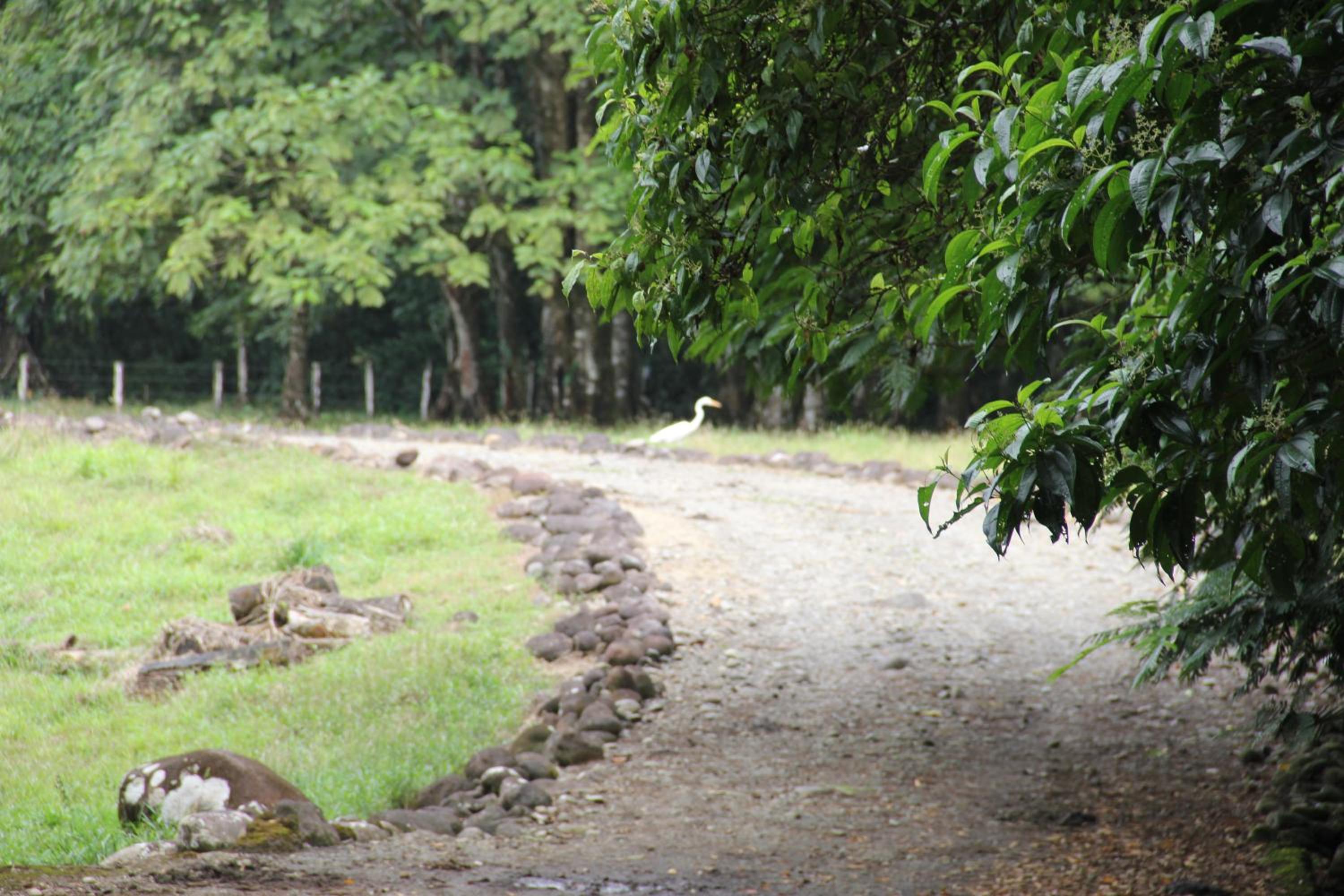 Horquetas River Lodge