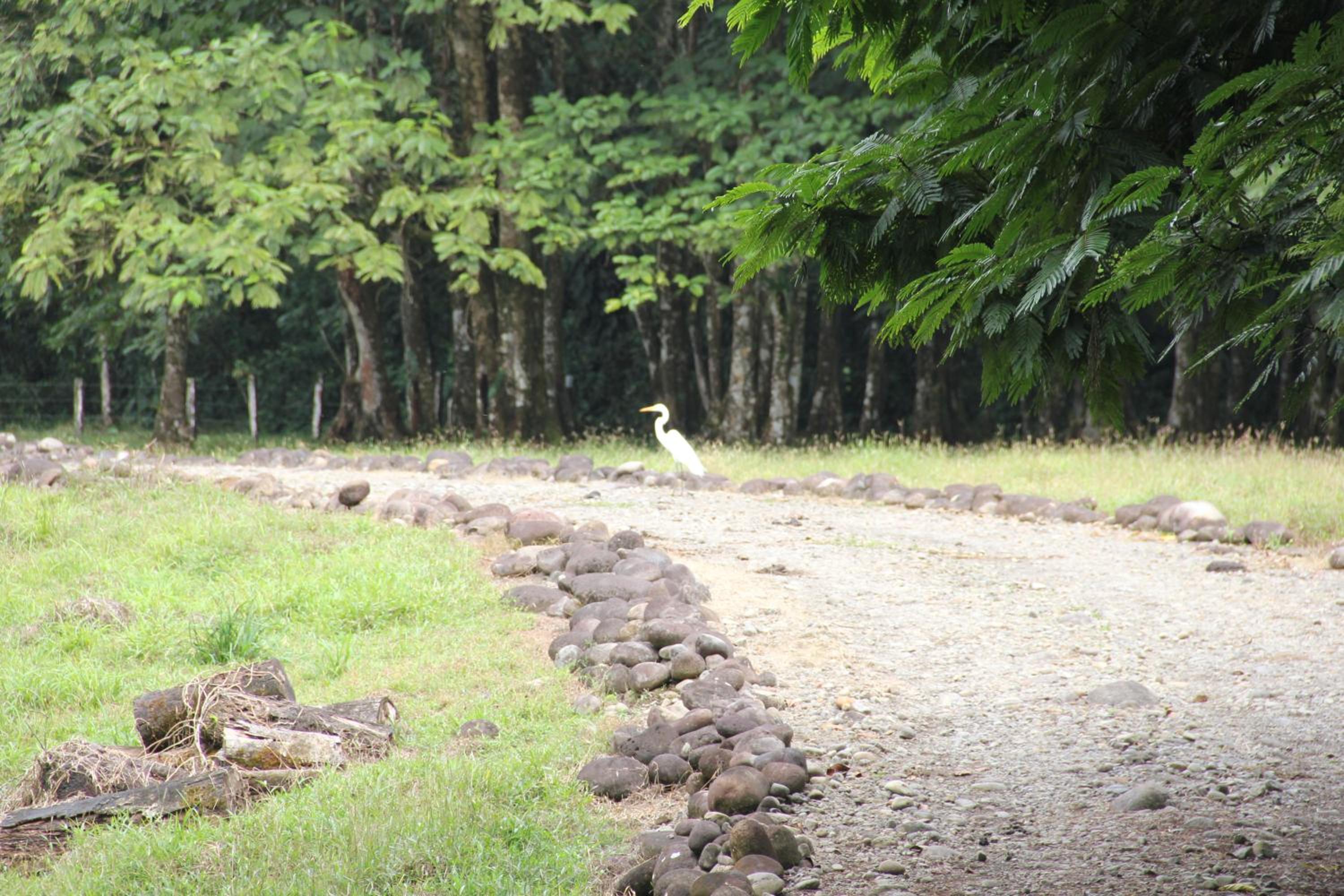 Horquetas River Lodge