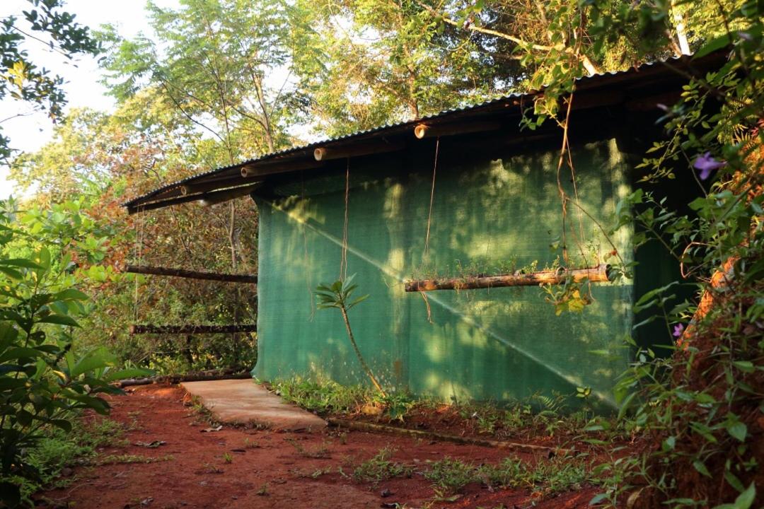 Isla Violin Eco-Lodge