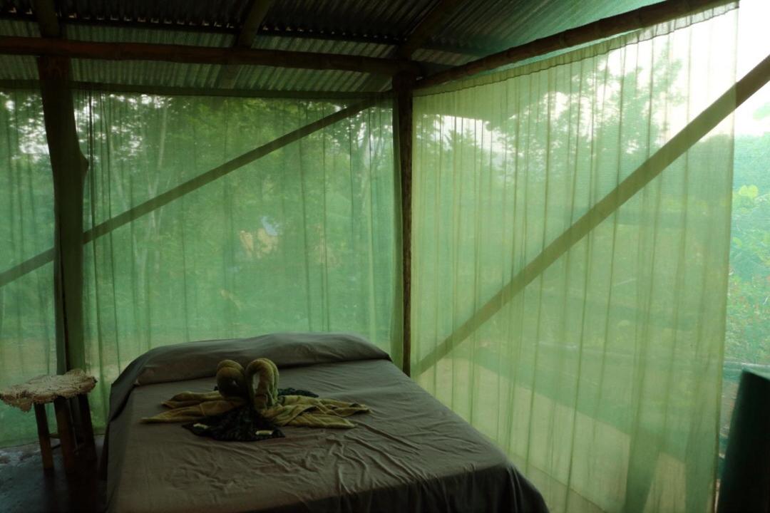 Isla Violin Eco-Lodge