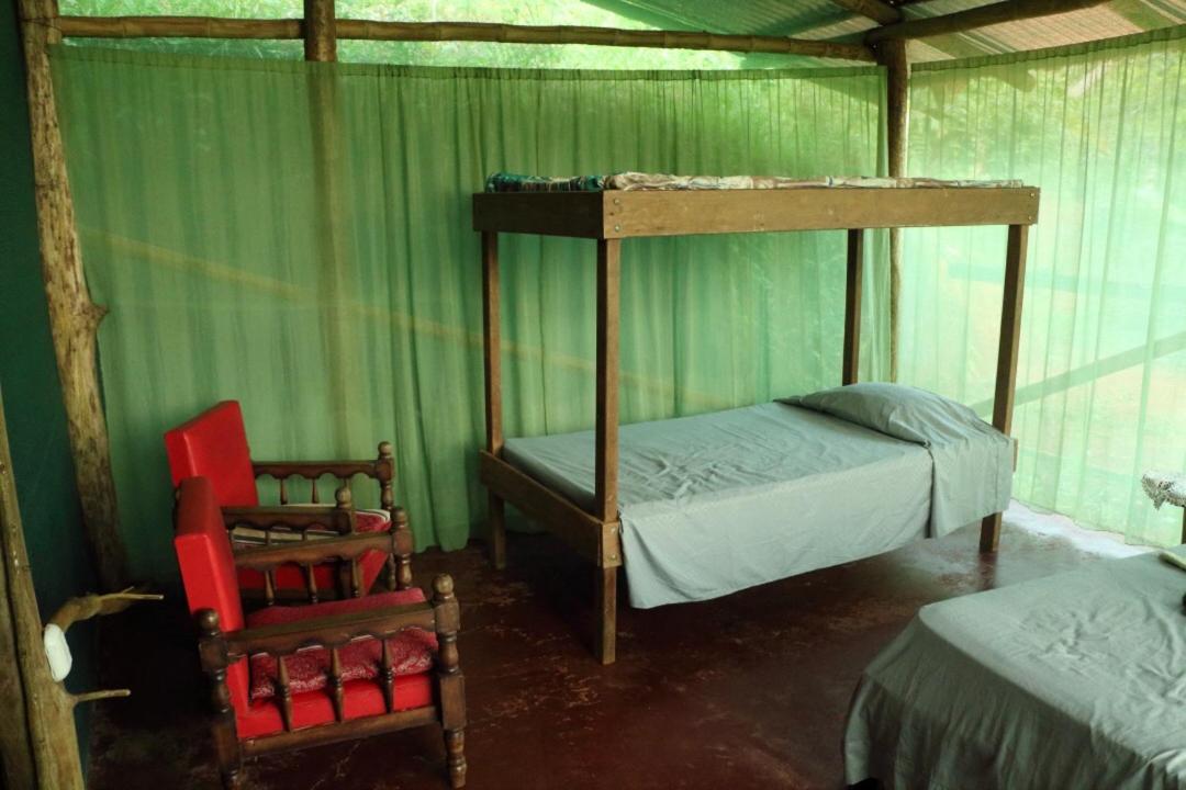 Isla Violin Eco-Lodge