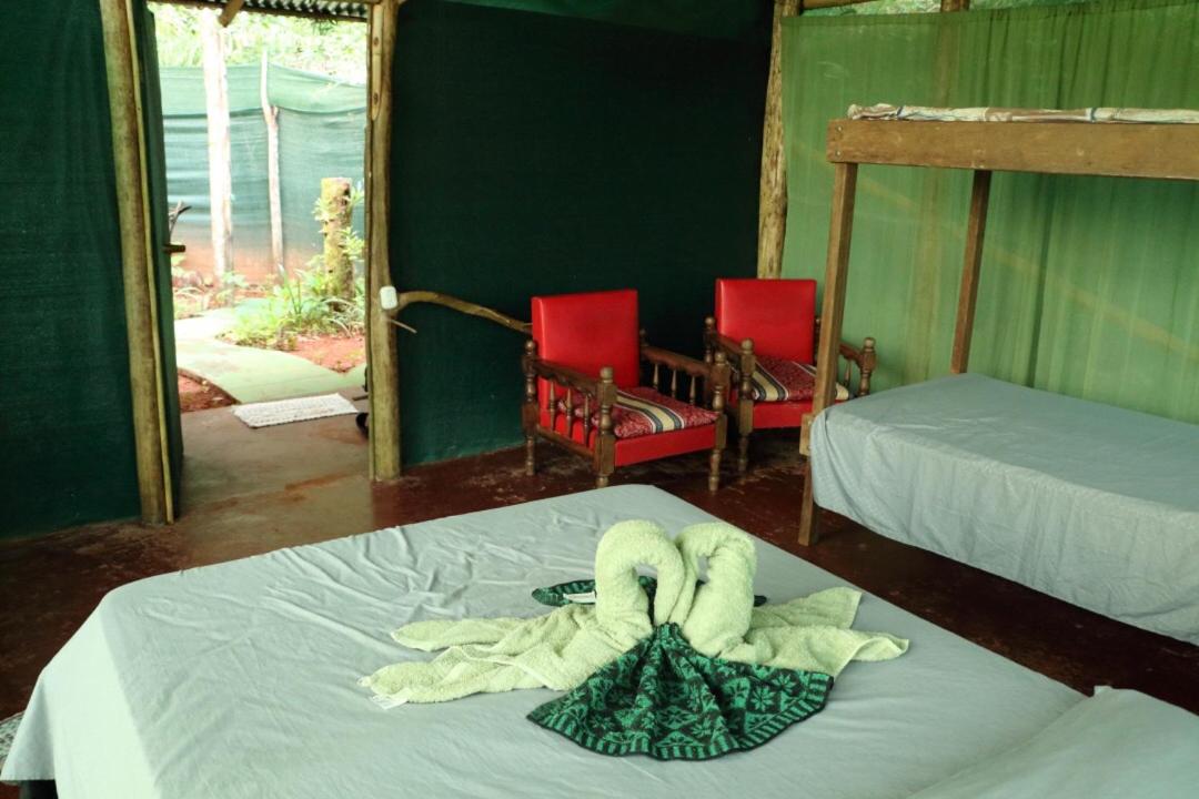 Isla Violin Eco-Lodge