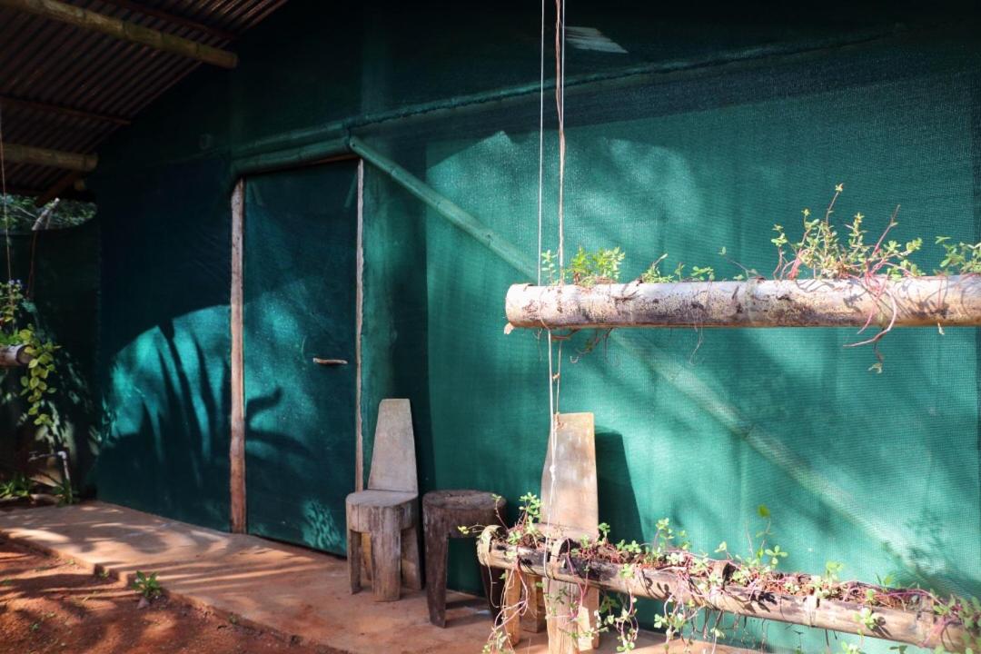 Isla Violin Eco-Lodge