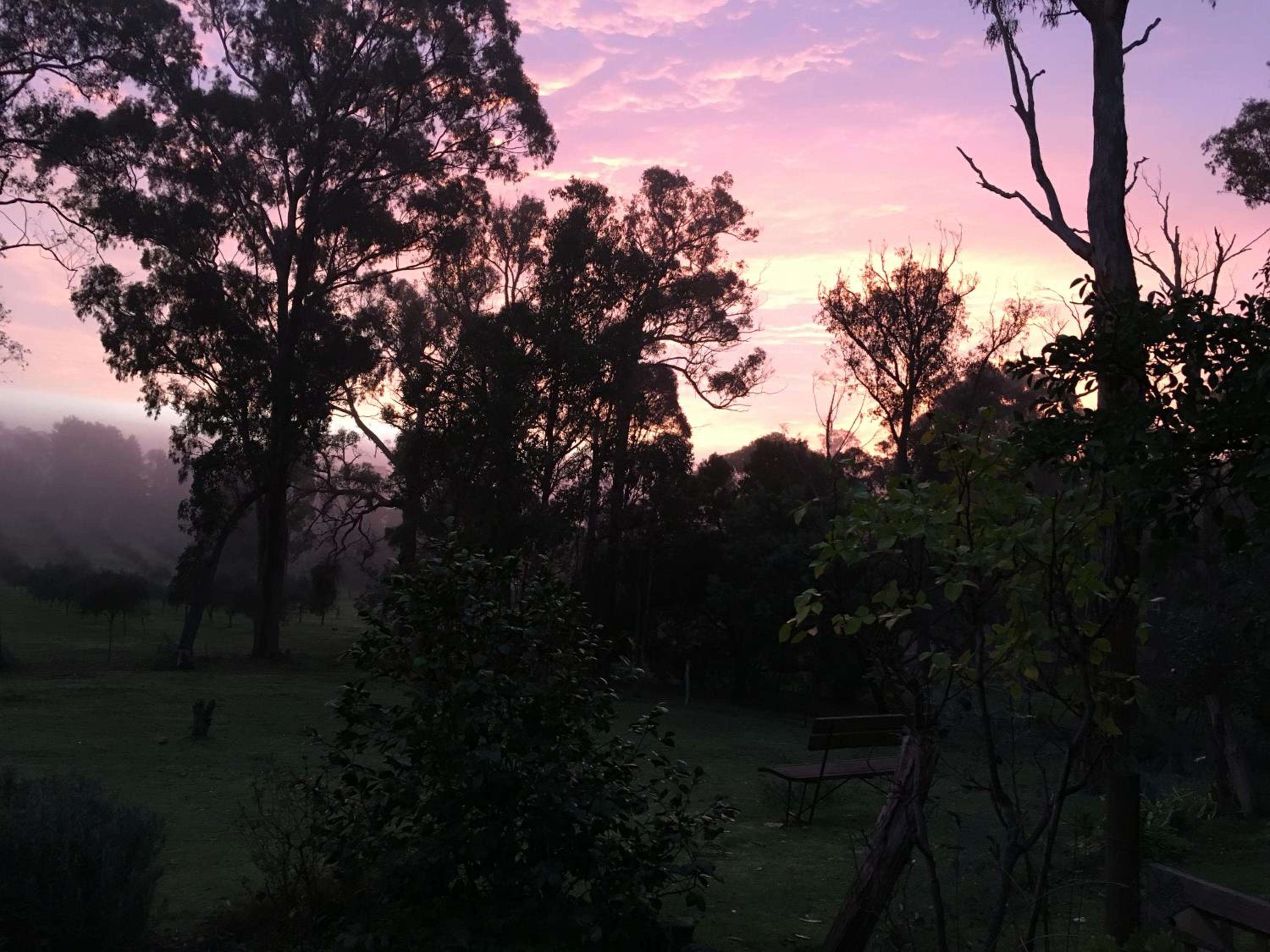 Countryside Retreat romantic tranquil native wildlife township Hepburn - Daylesford