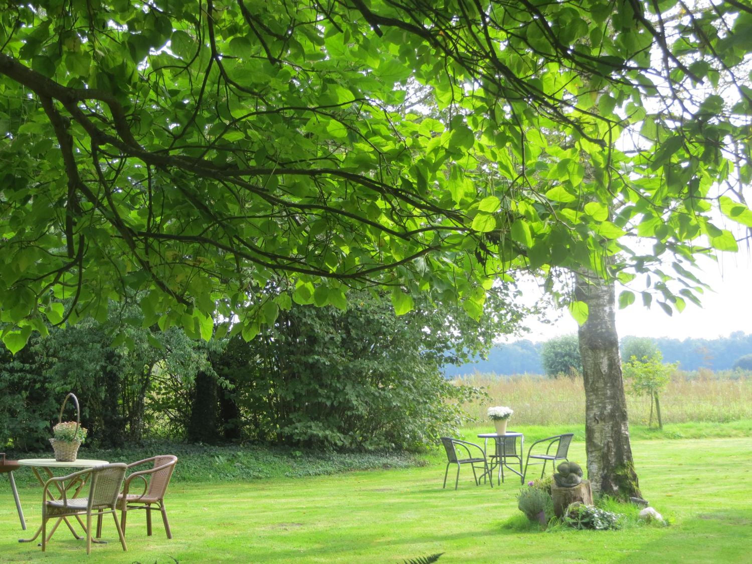 Rezonans view 4
