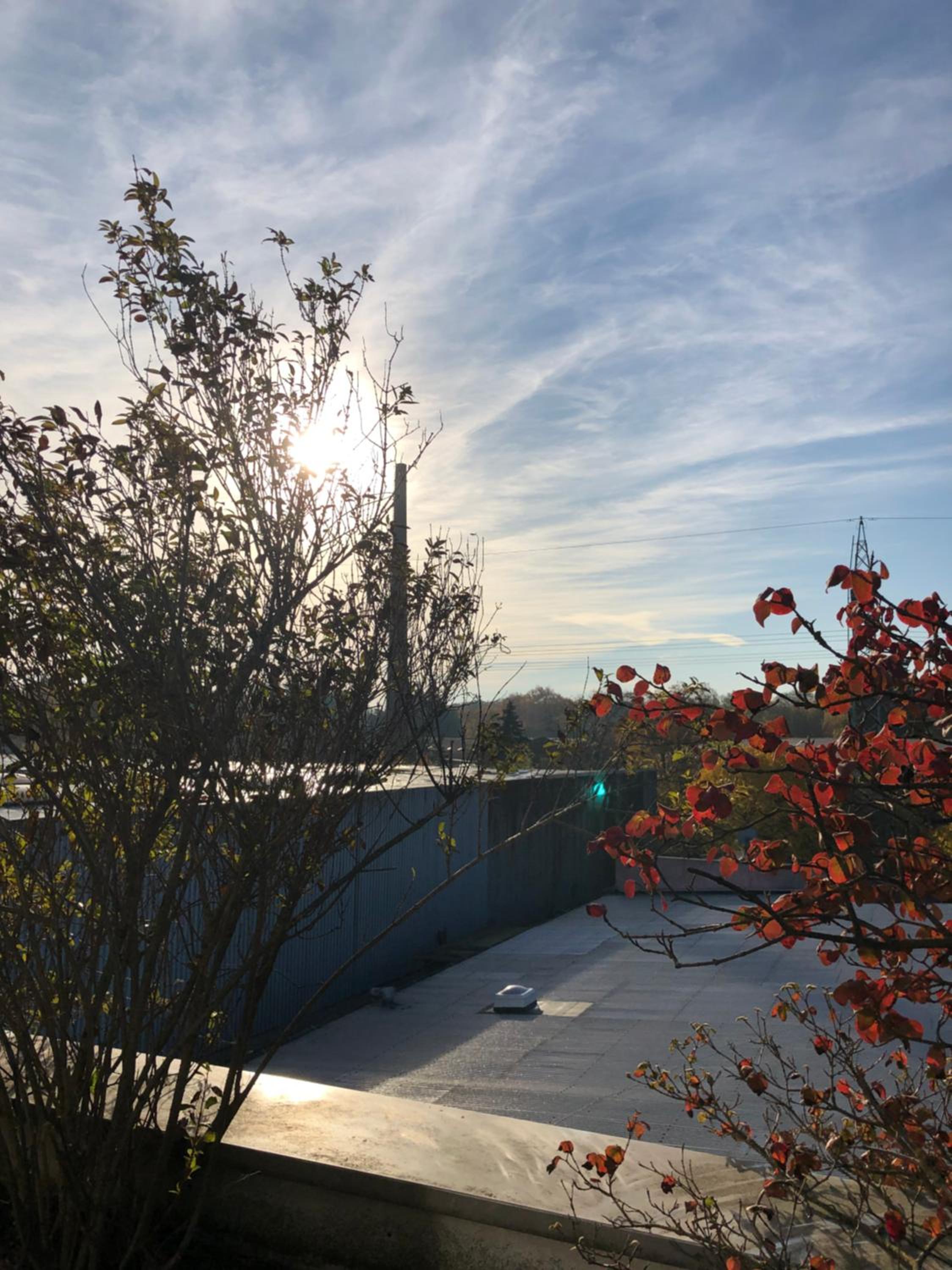 roof