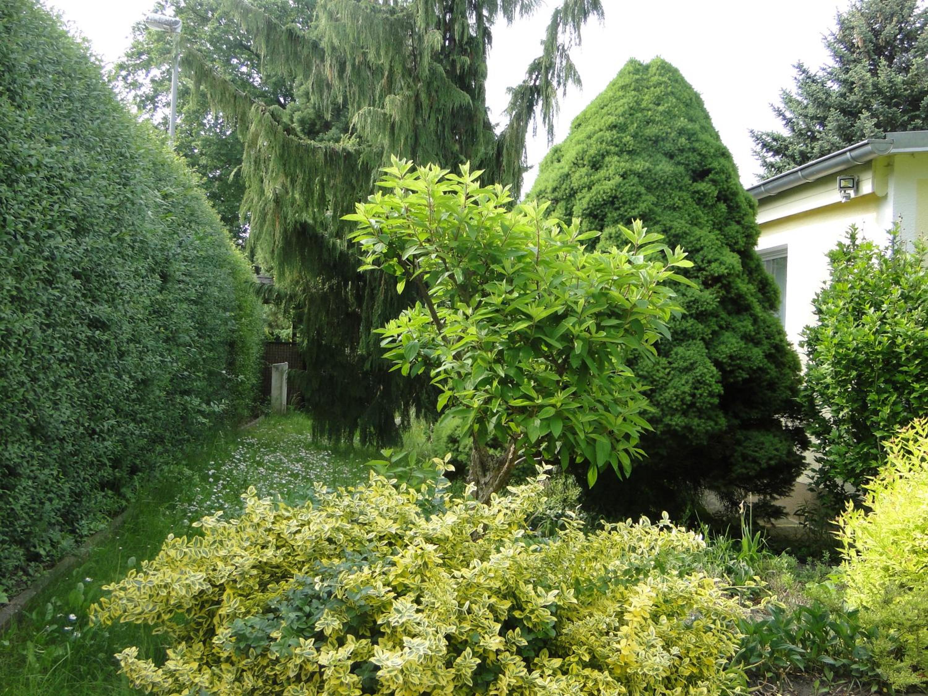 Sommerhaus im Grünen