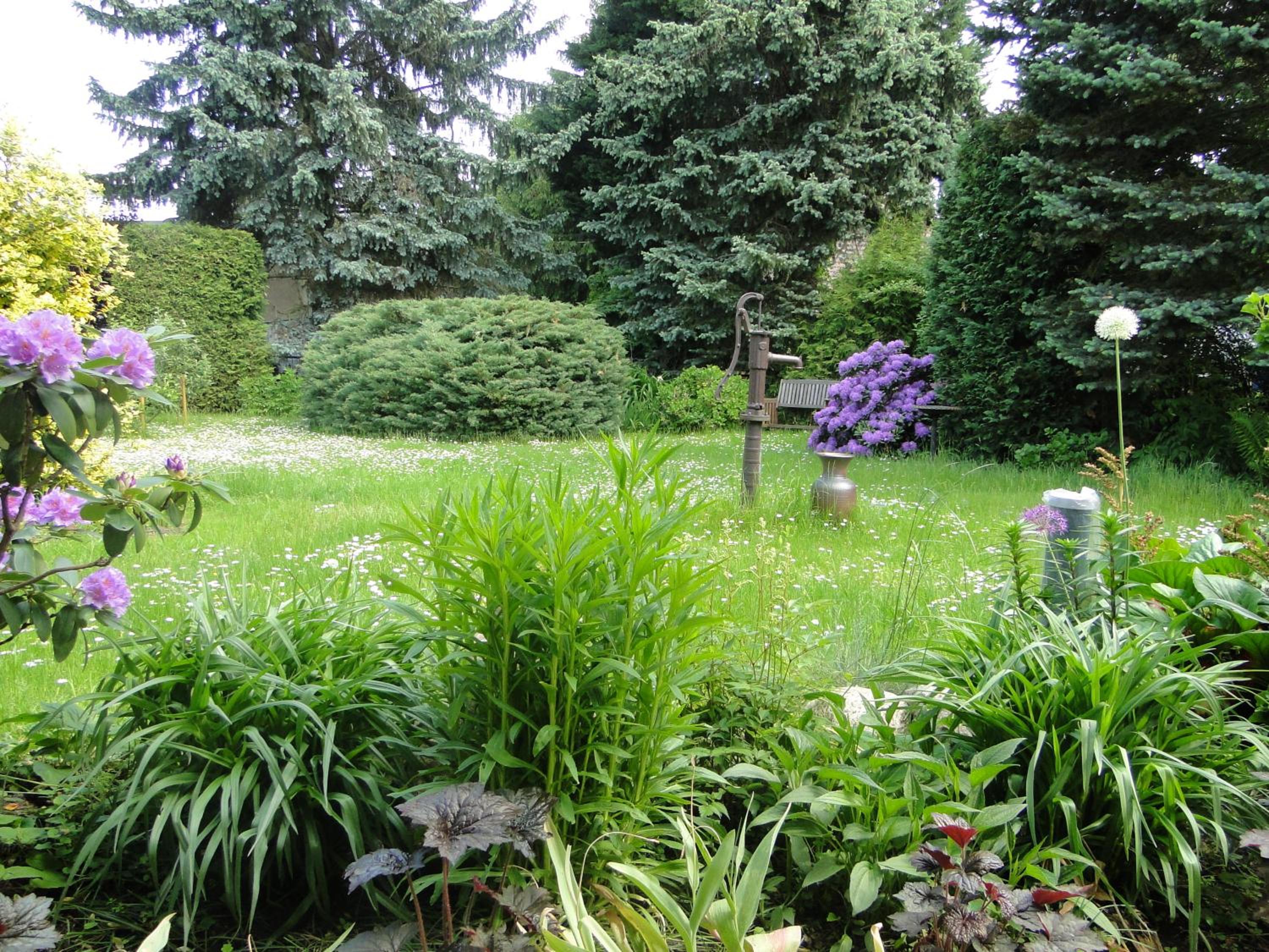 Sommerhaus im Grünen