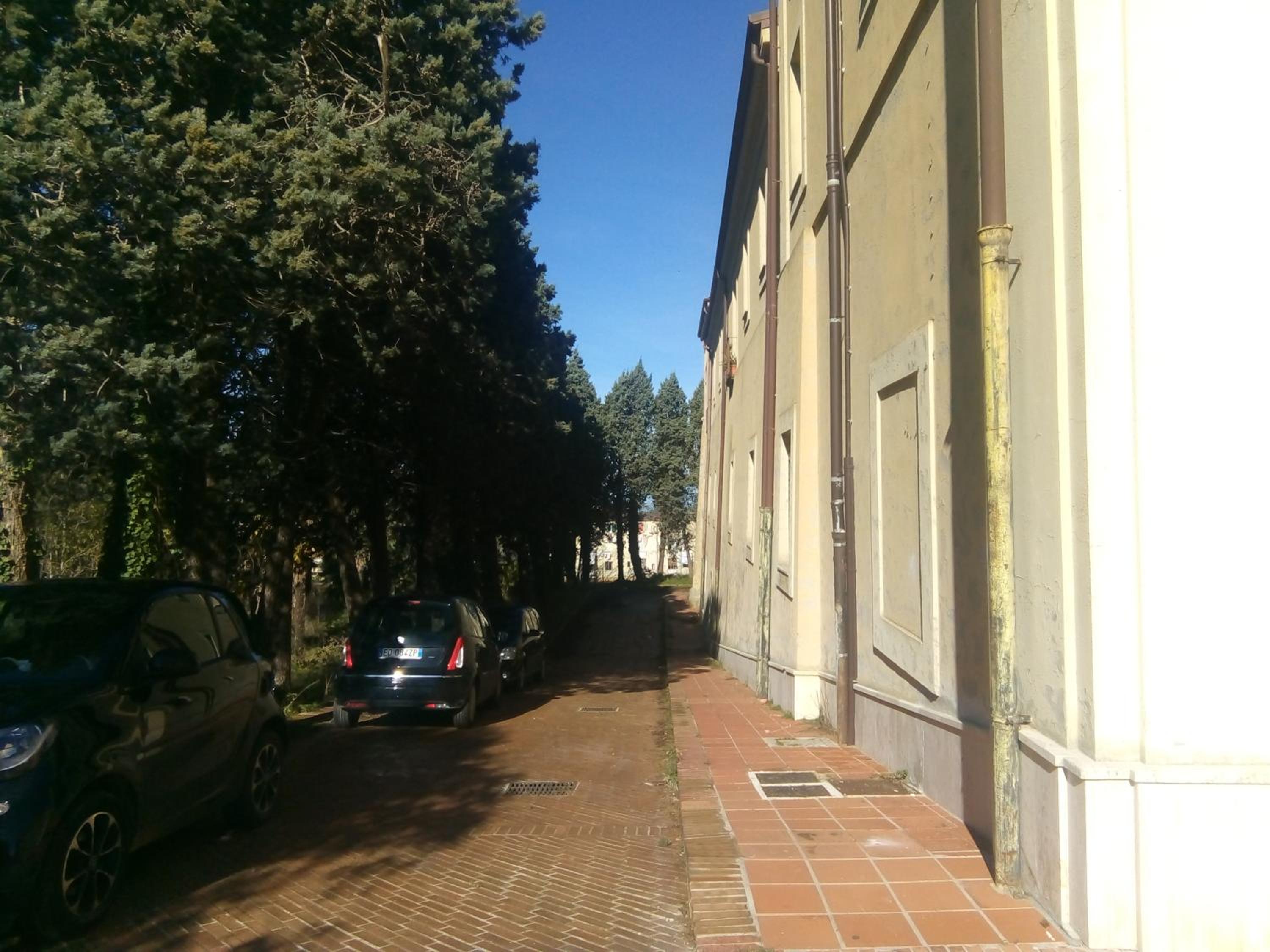 Photo 56