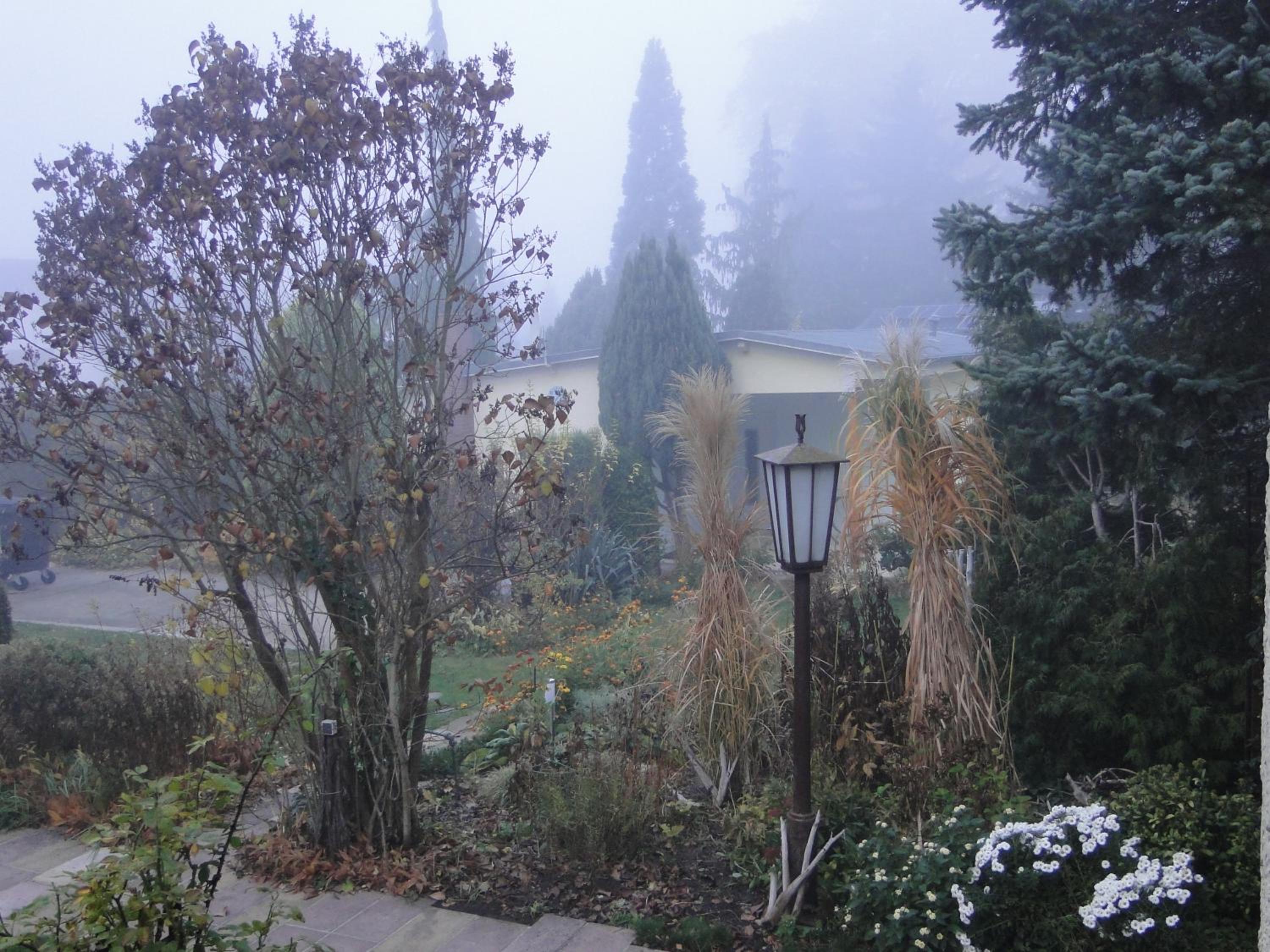 Sommerhaus im Grünen