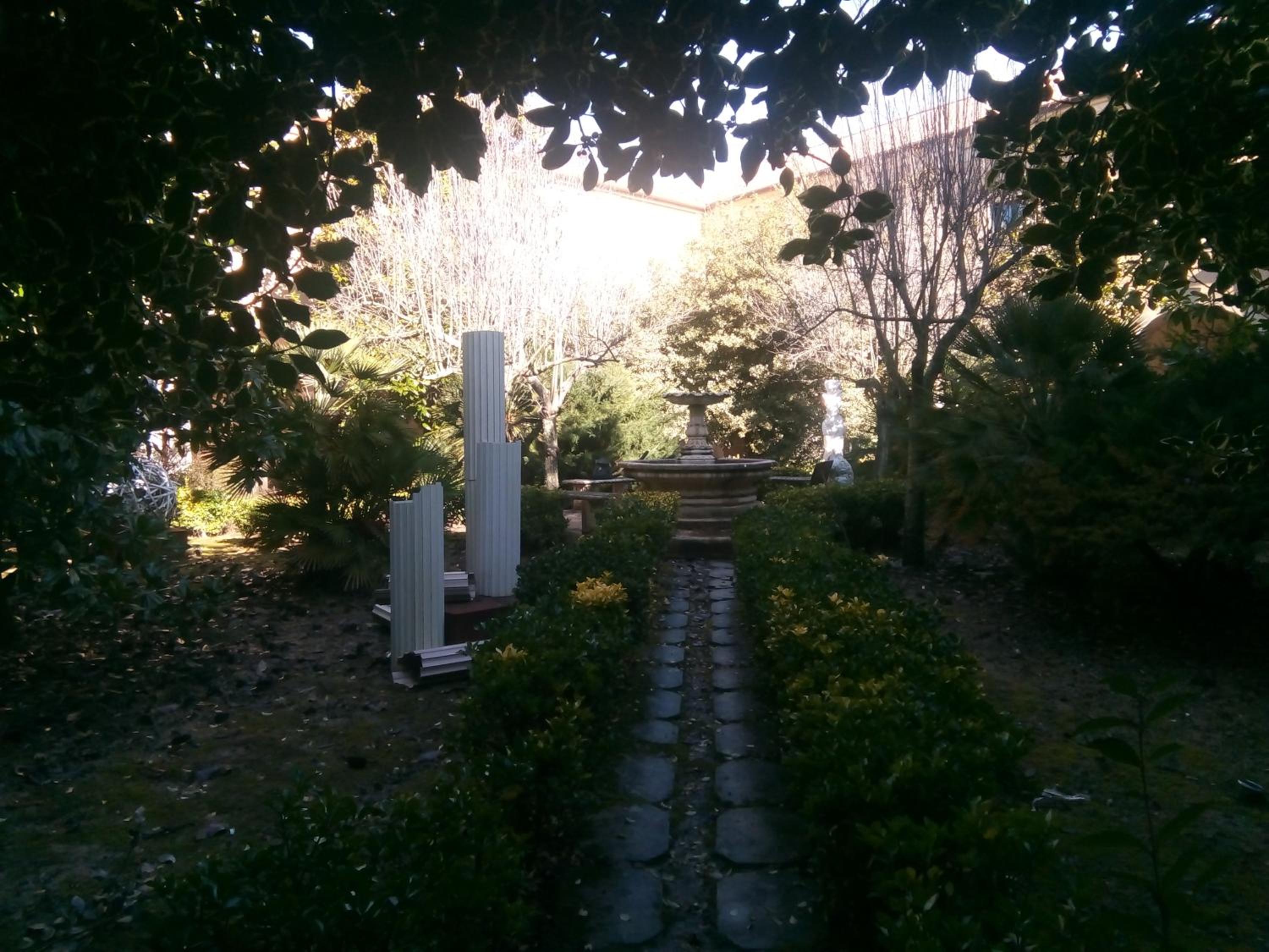 Photo 54