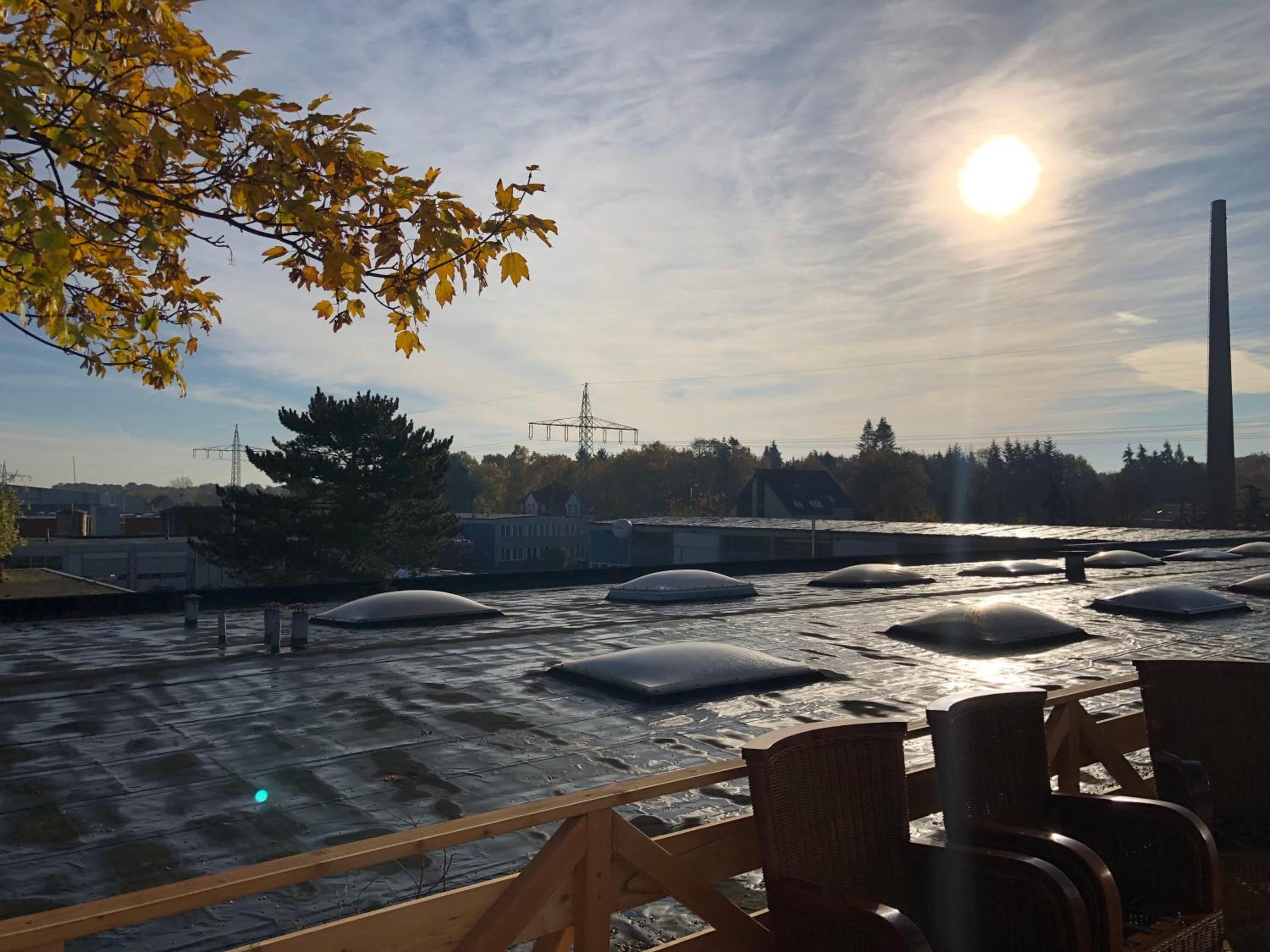 roof