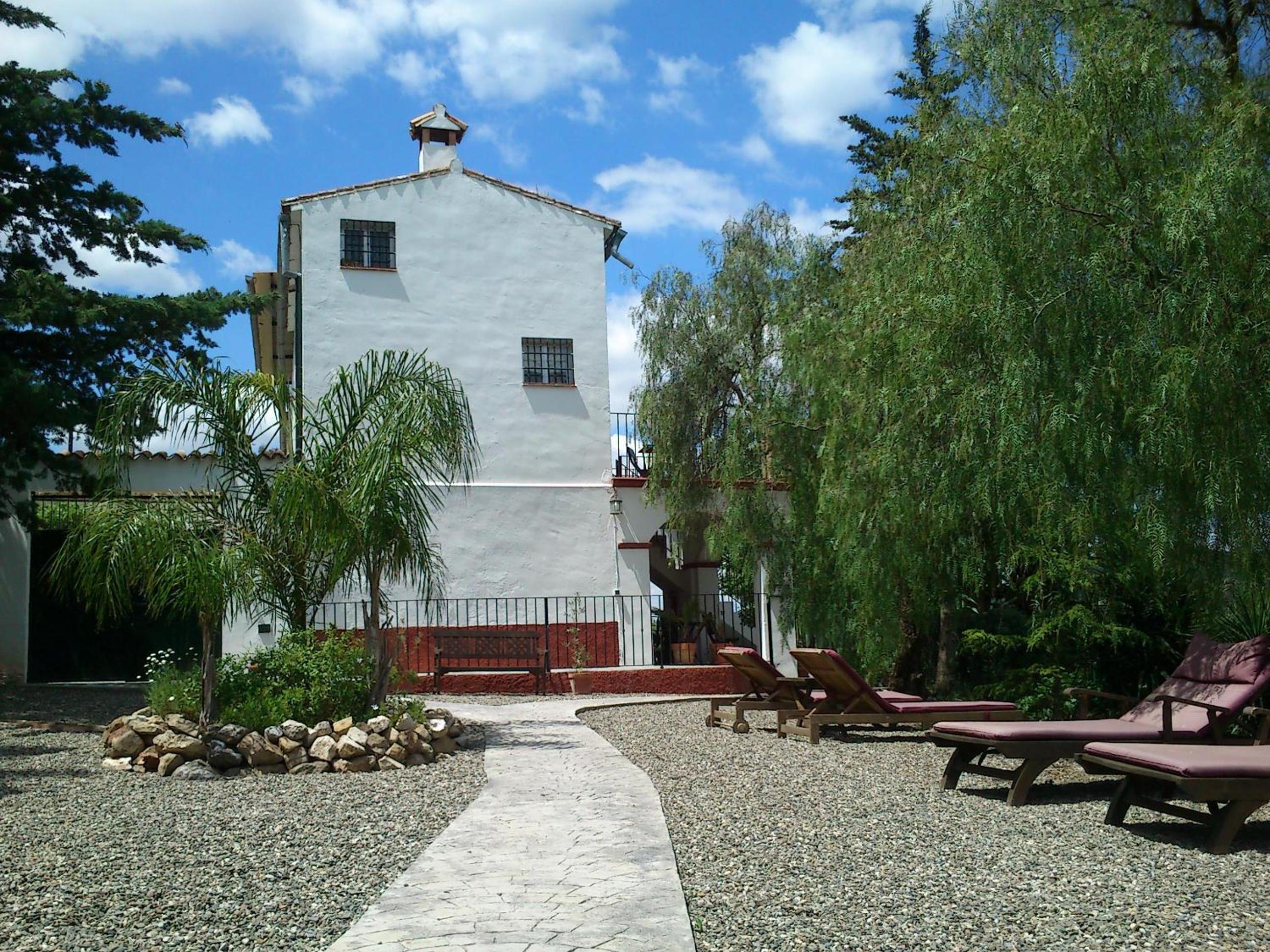 Photo 24