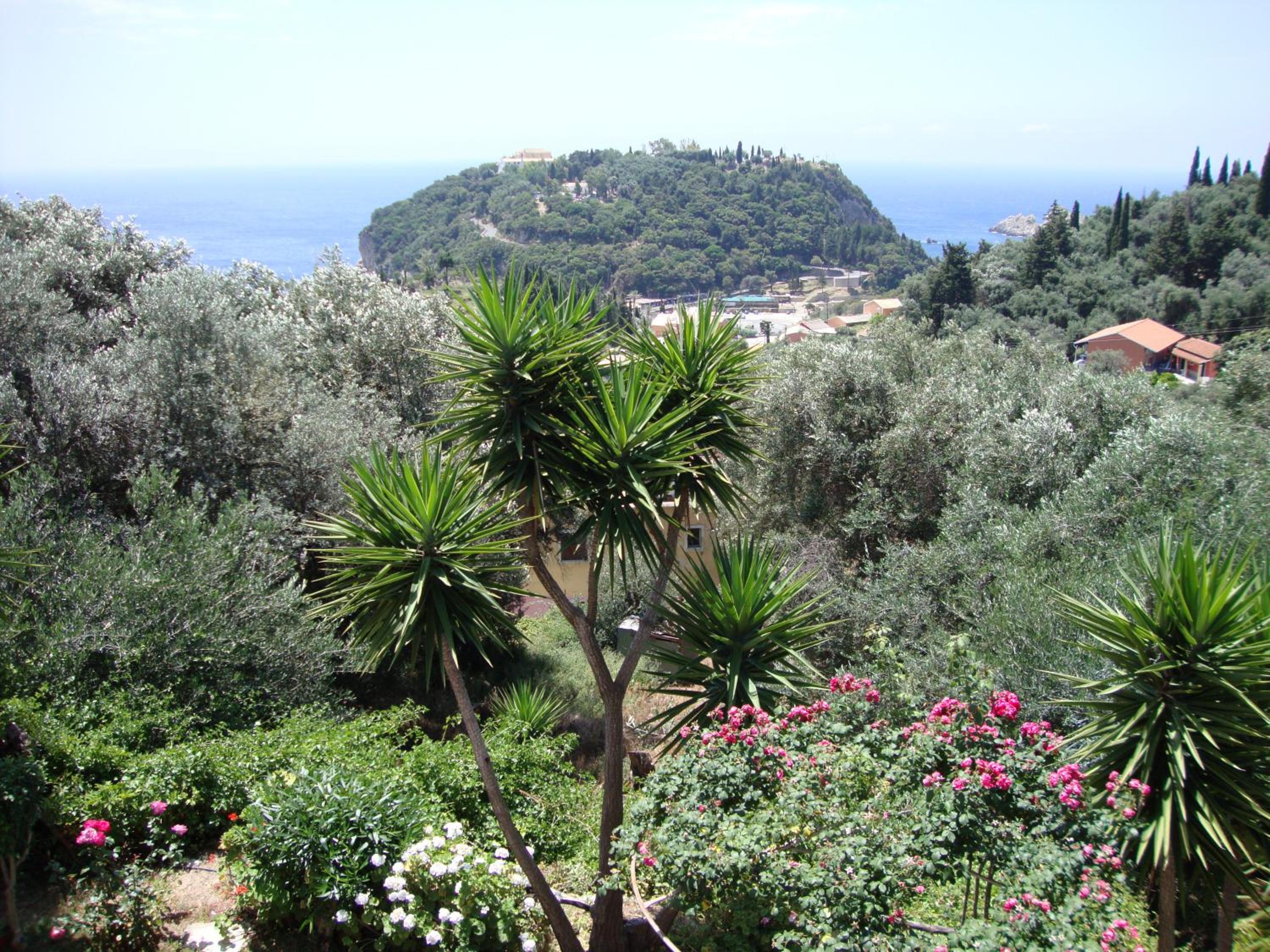 Photo 16