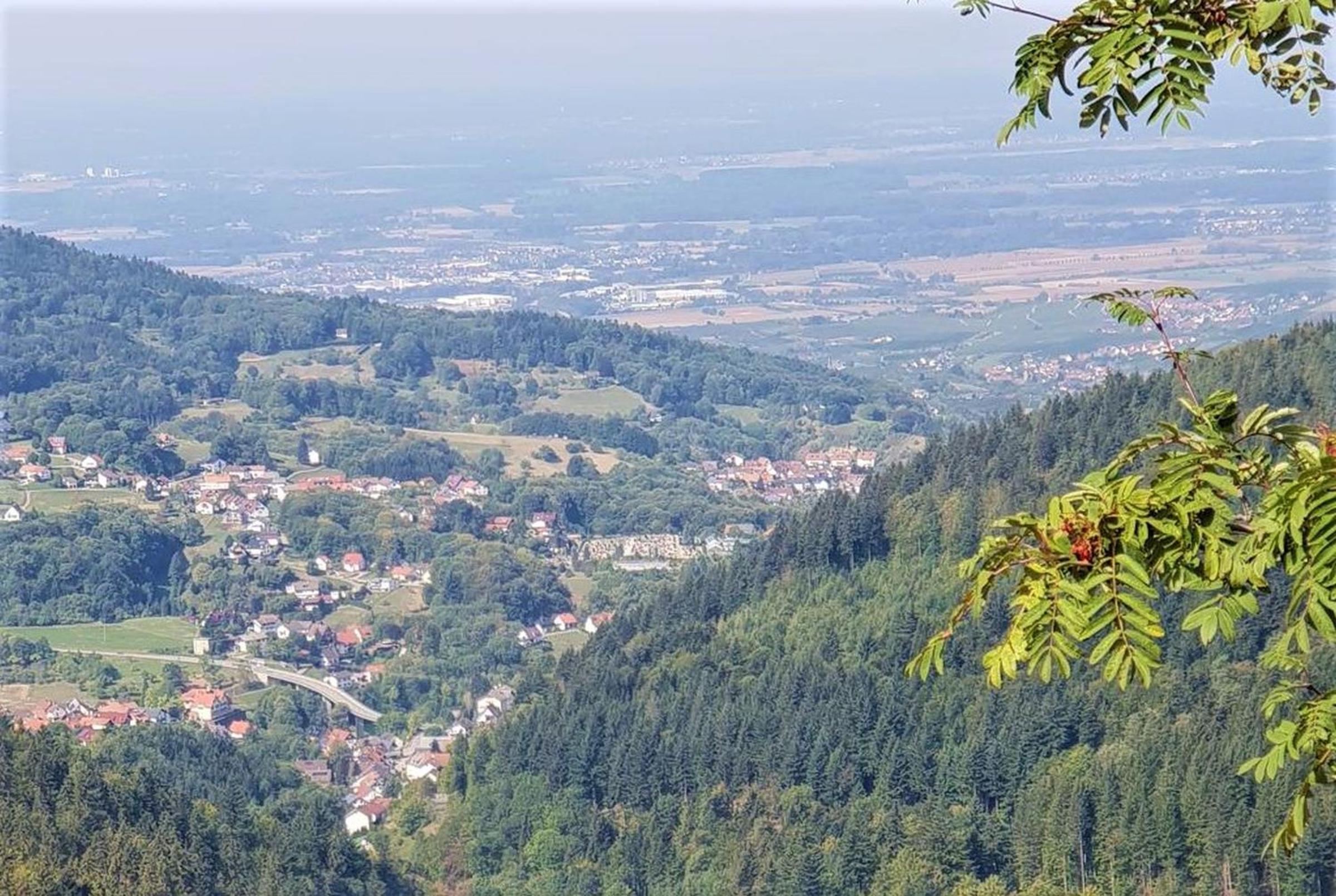 Ferienwohnung Paradies