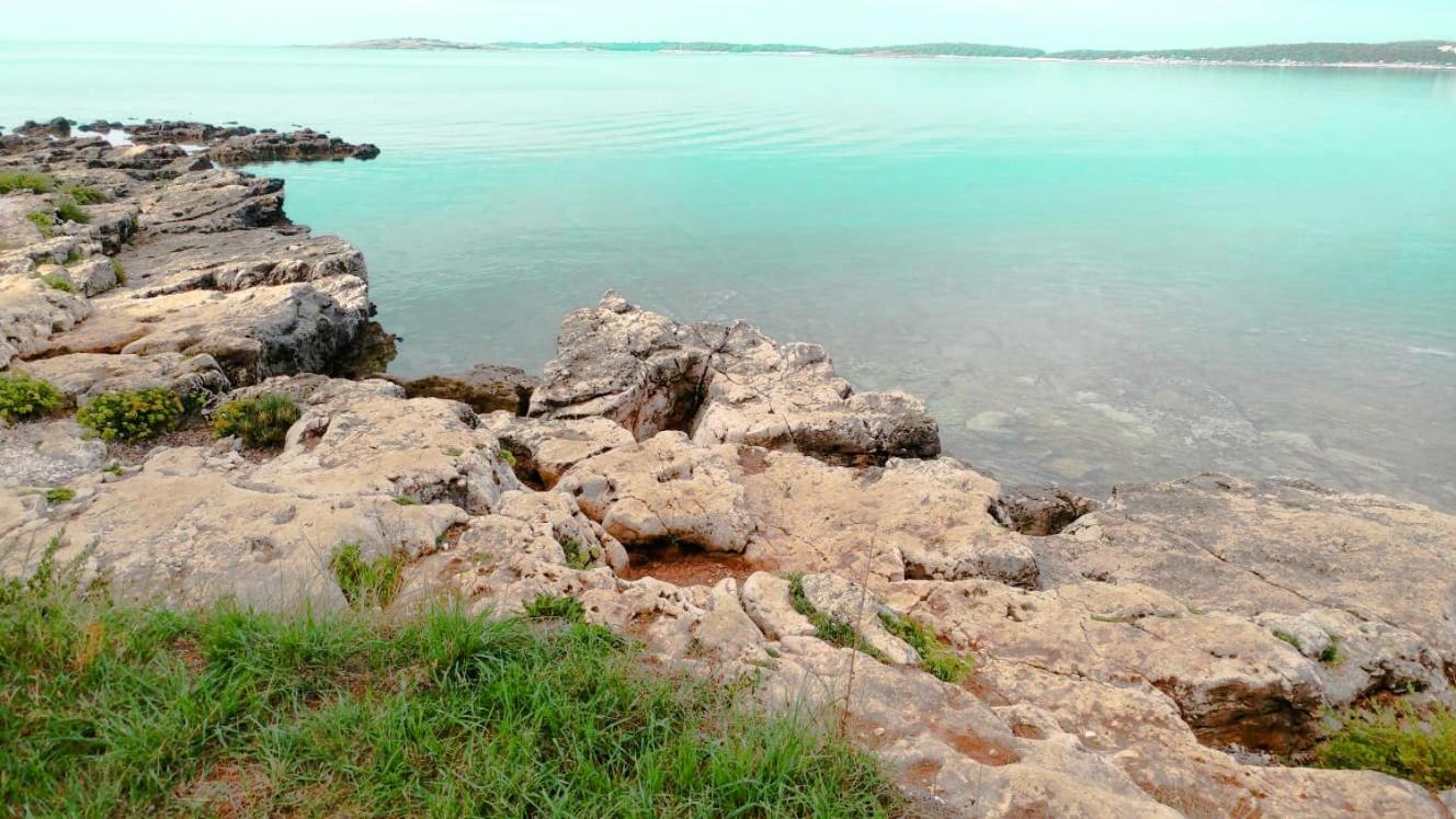Terra Mare