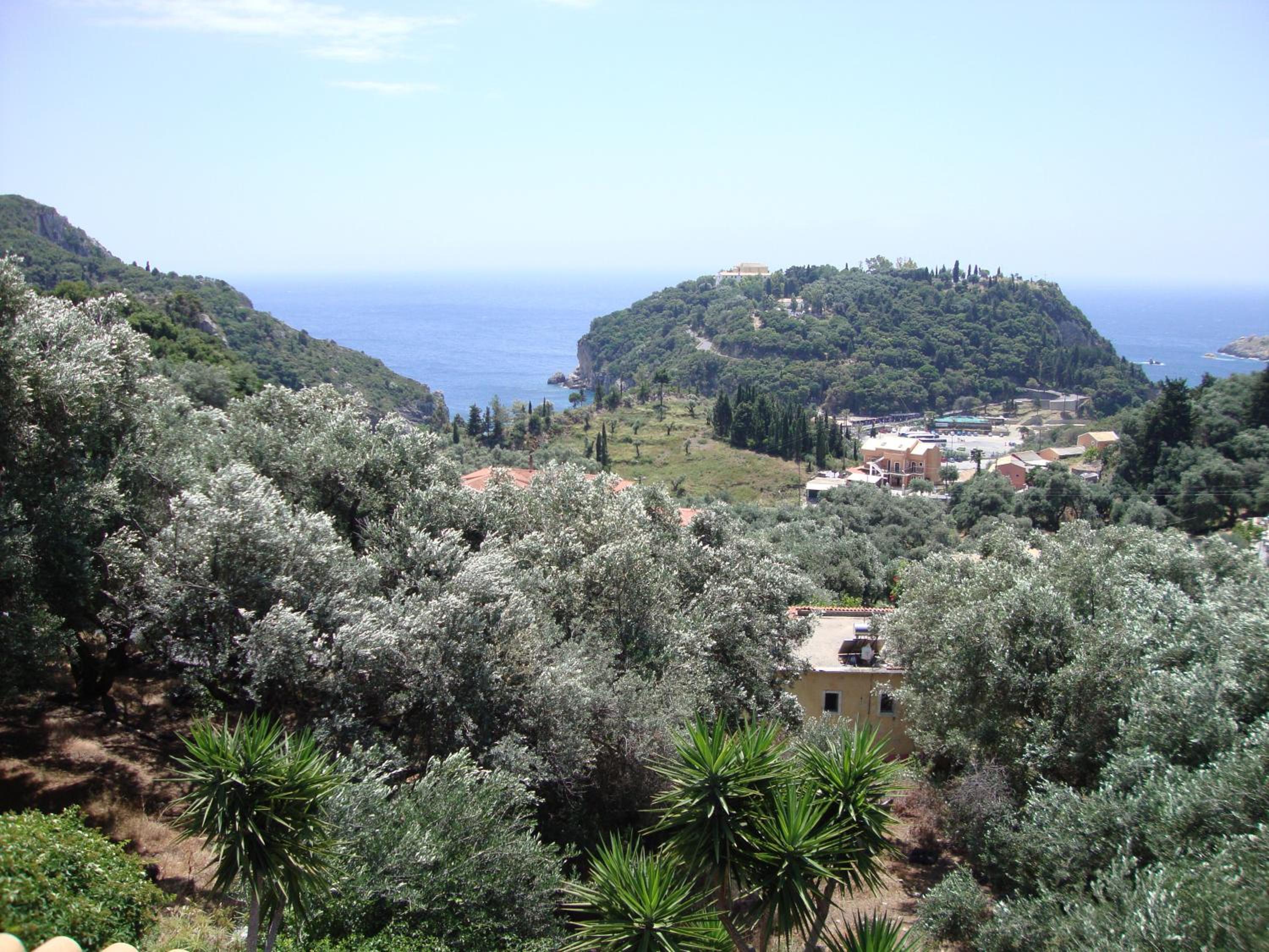 Photo 24