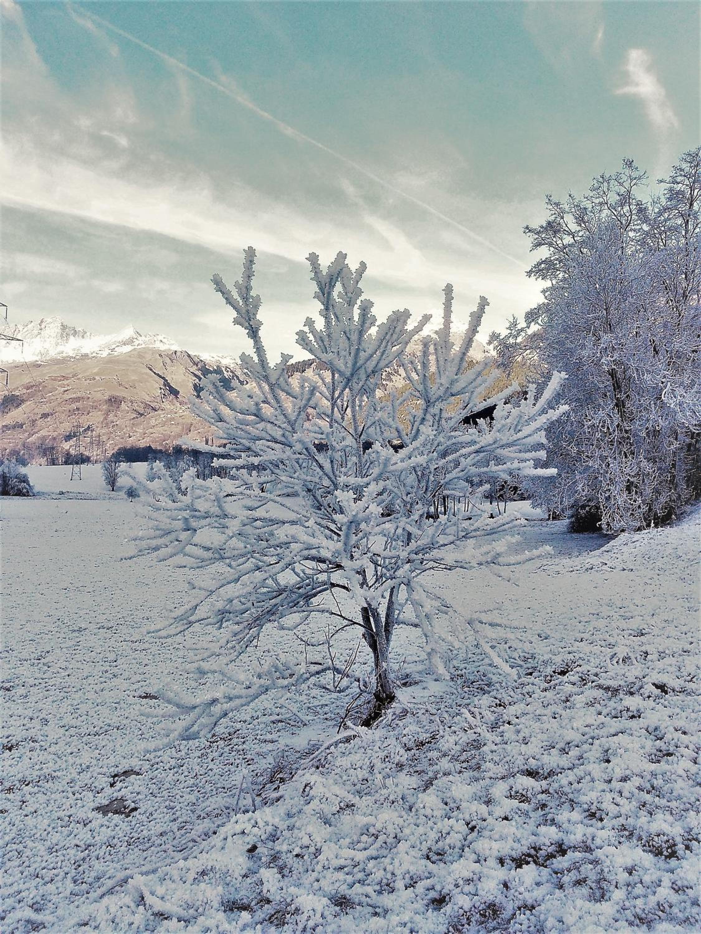 Photo 83