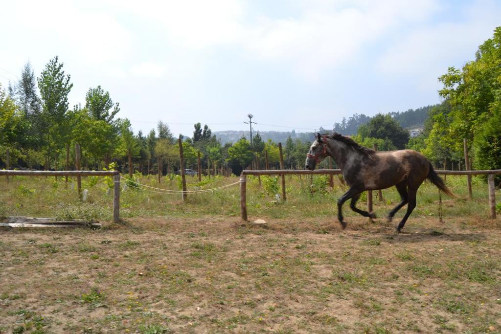 Quinta do Mosteiro