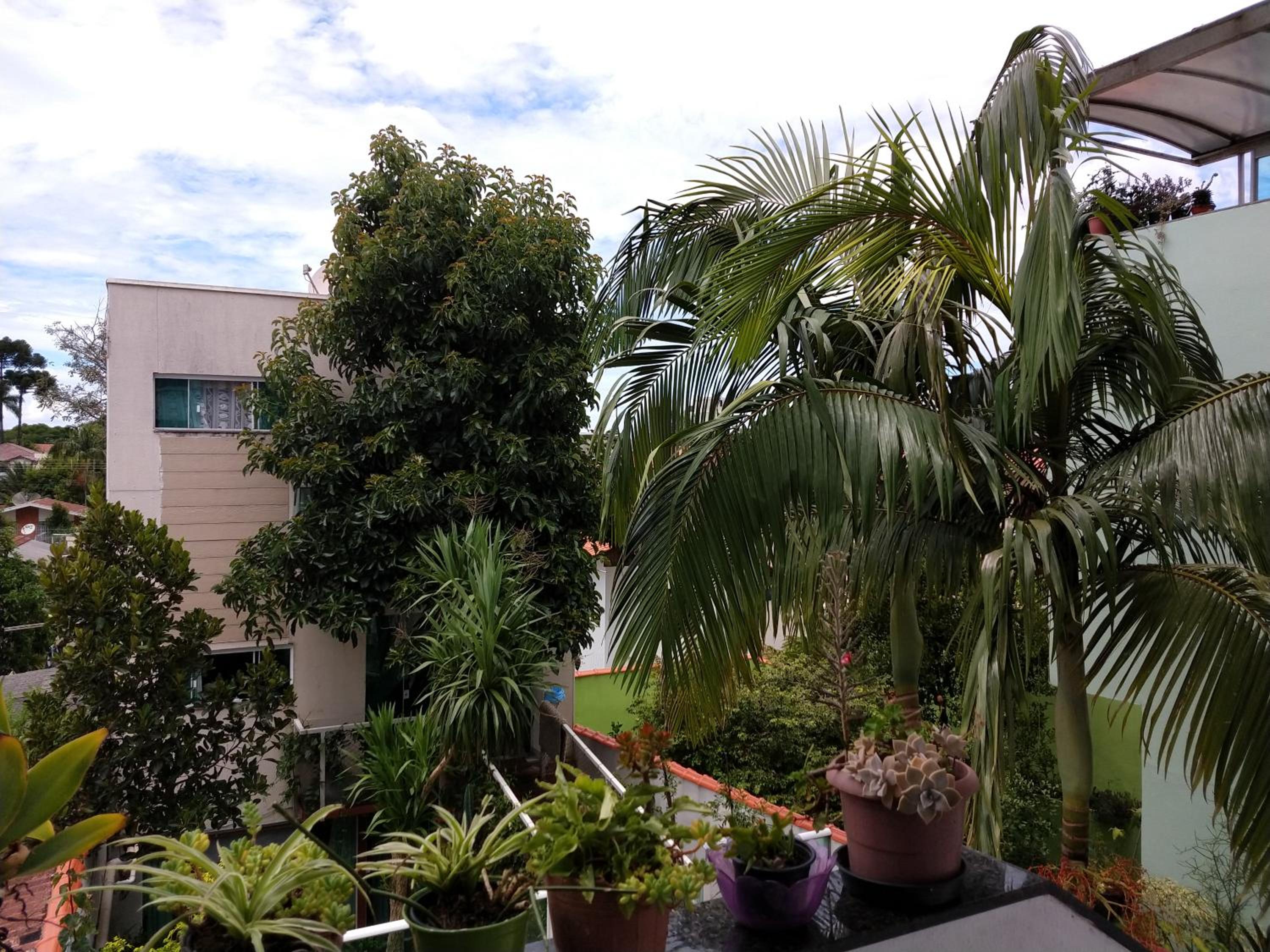 Photo 48