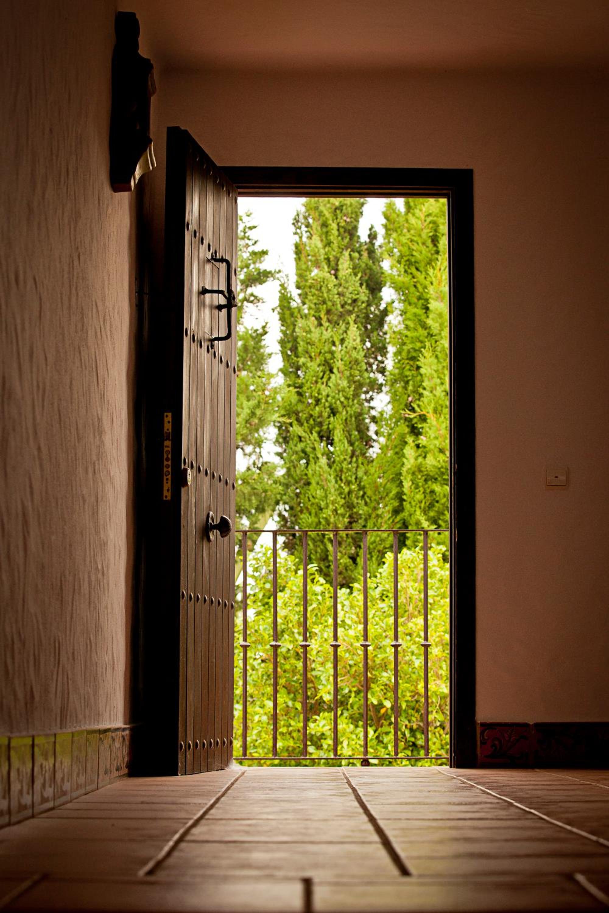 Hacienda Roche Viejo
