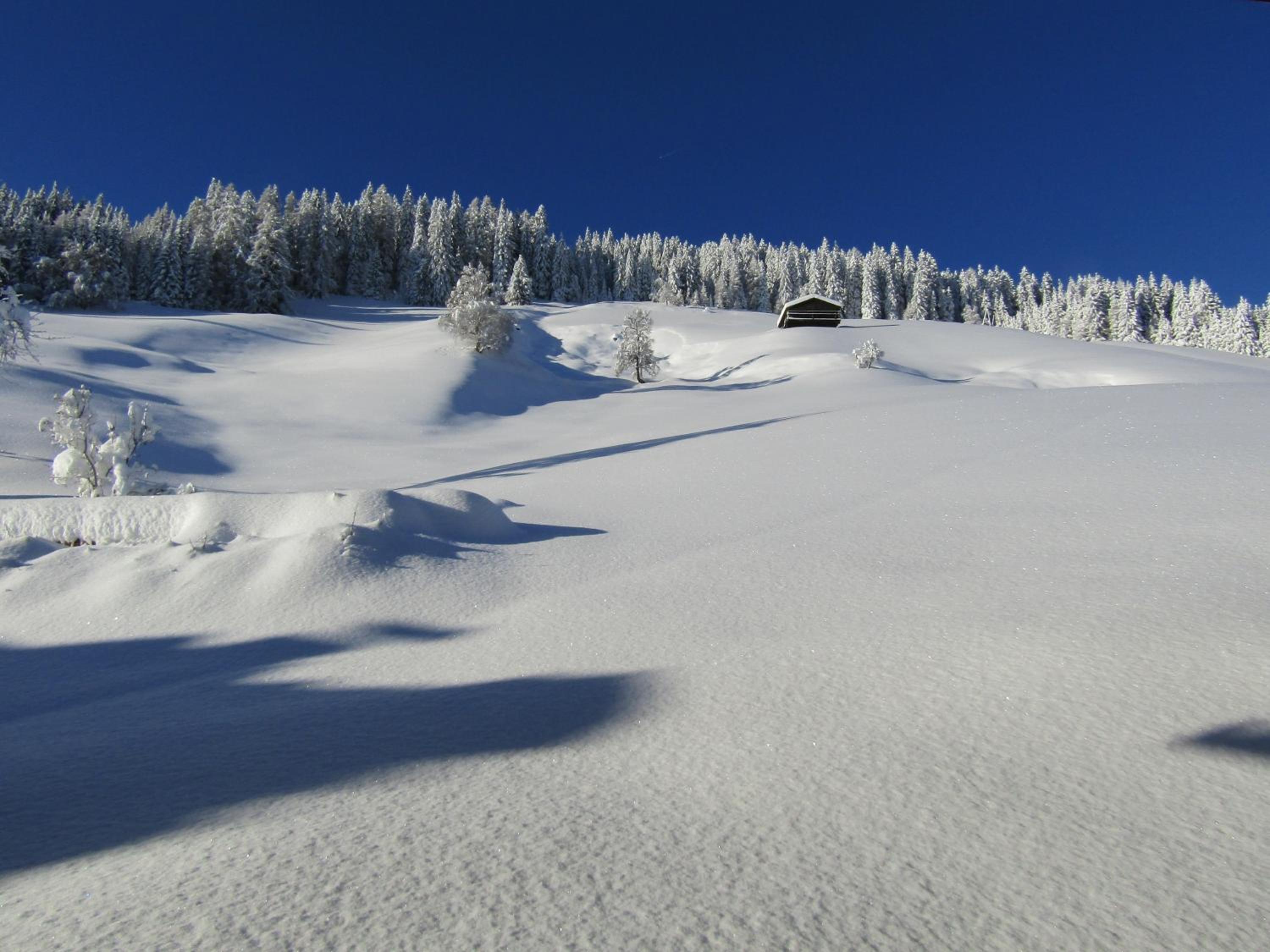 Neuhauserhof