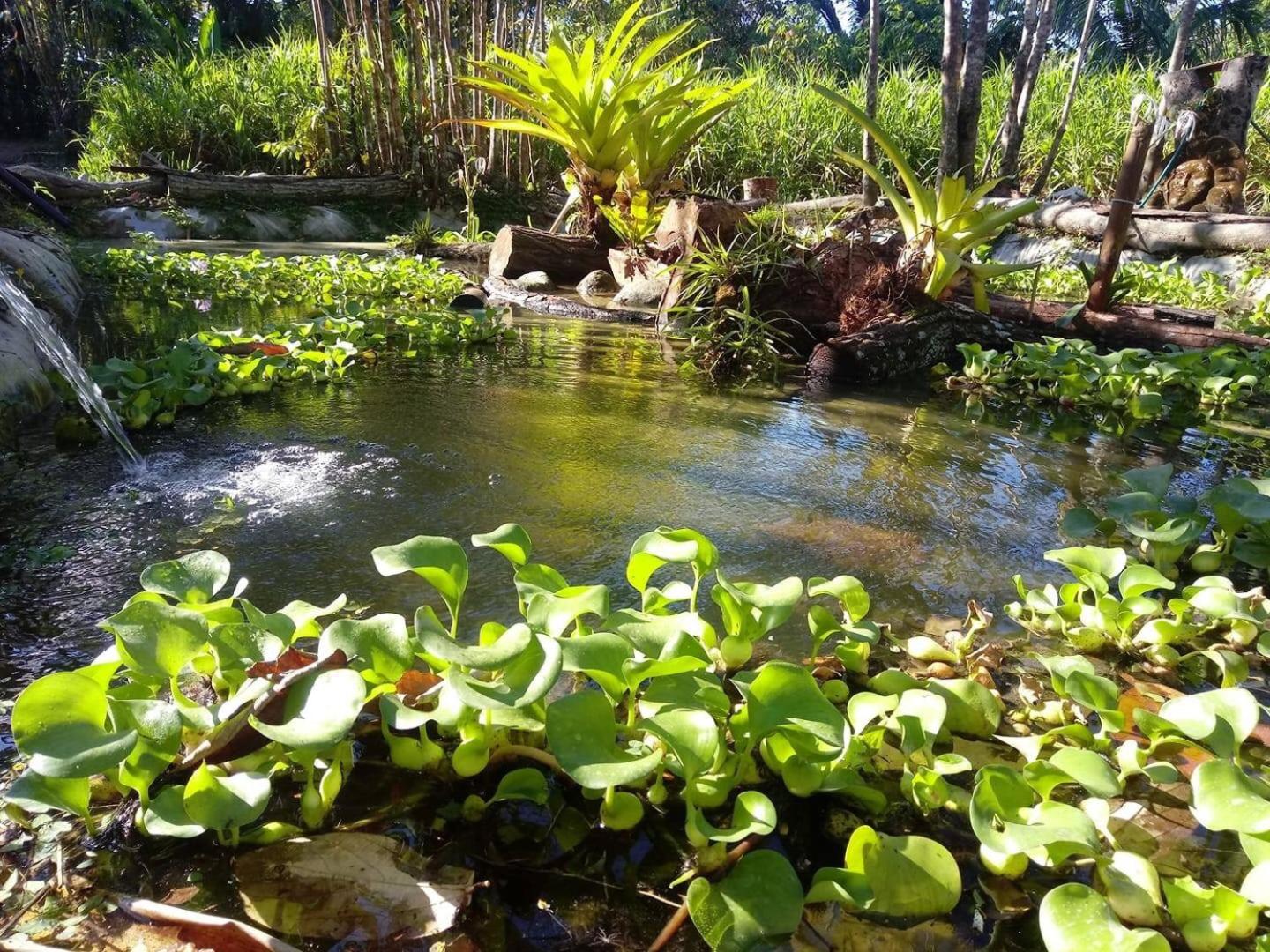 Casa Manglar Villa