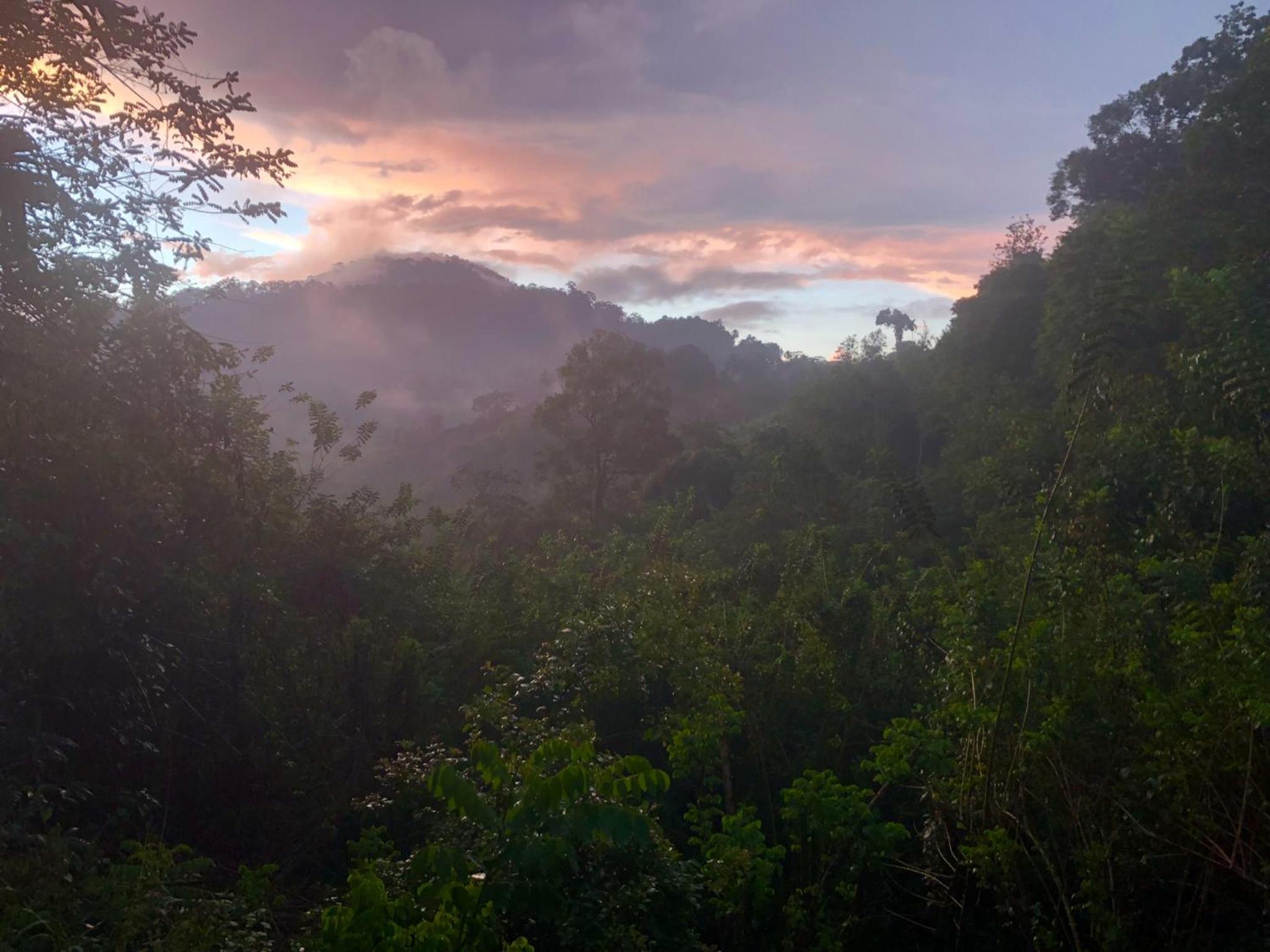 Natural Mystic Sanctuary