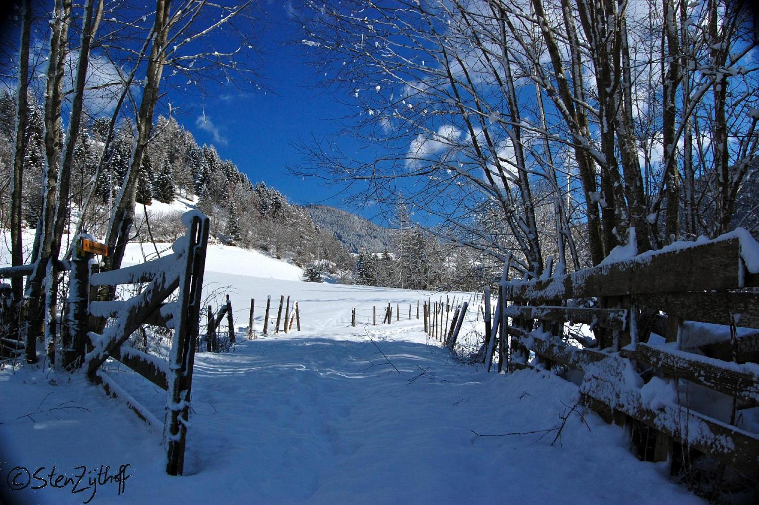 Photo 106