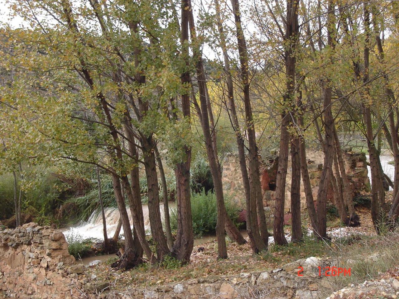 CASA EL AZUD view 2