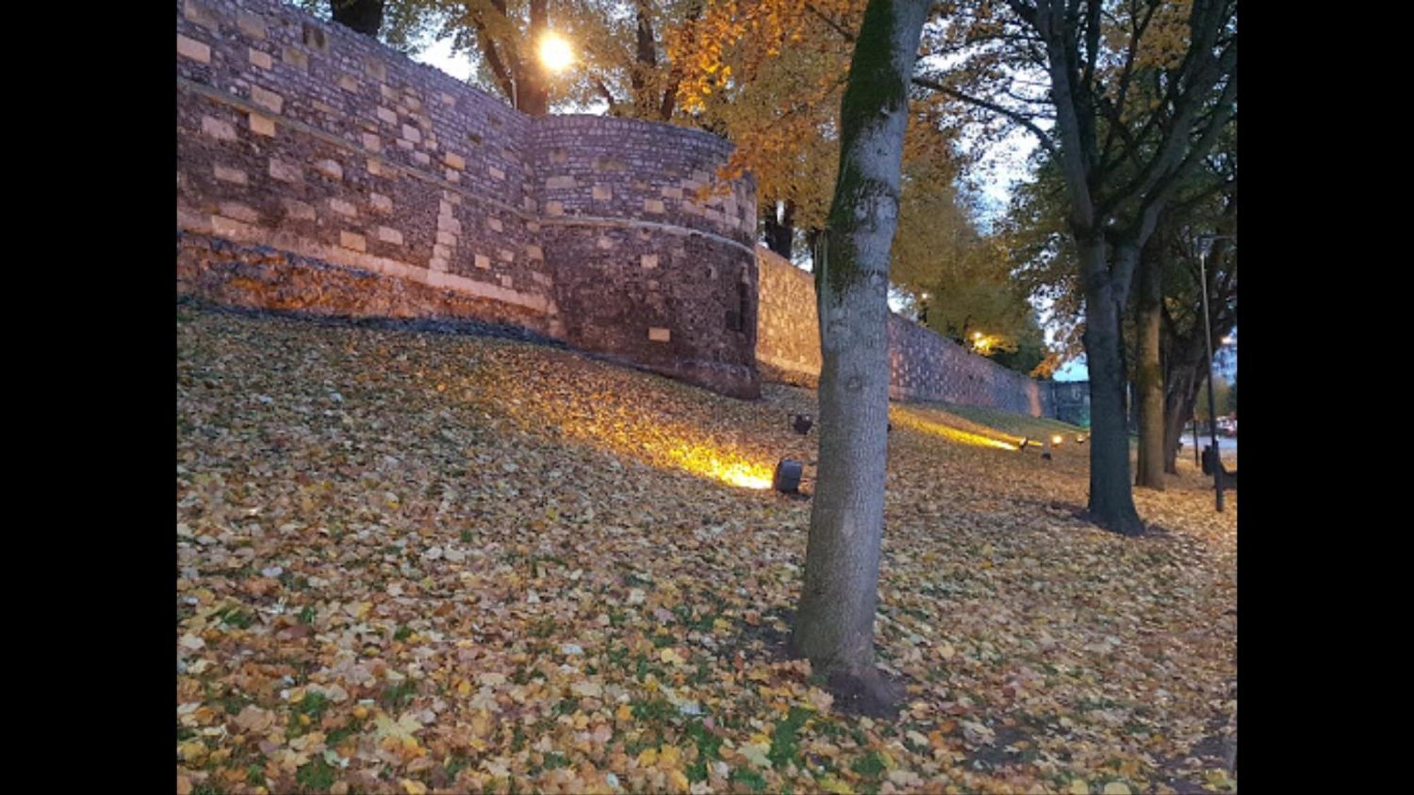 Tongeren Schuttersgang 1