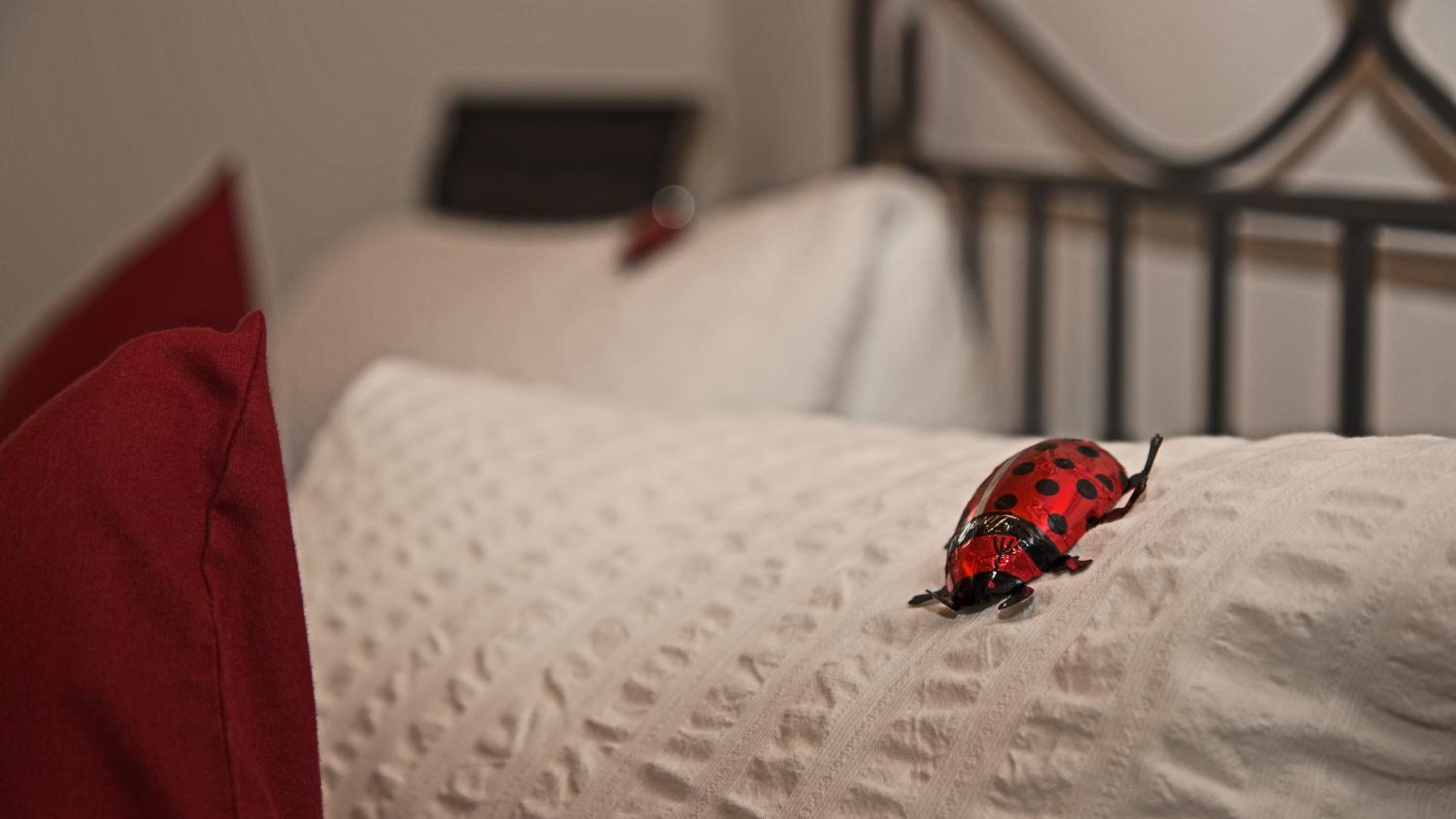 Conny's B&B