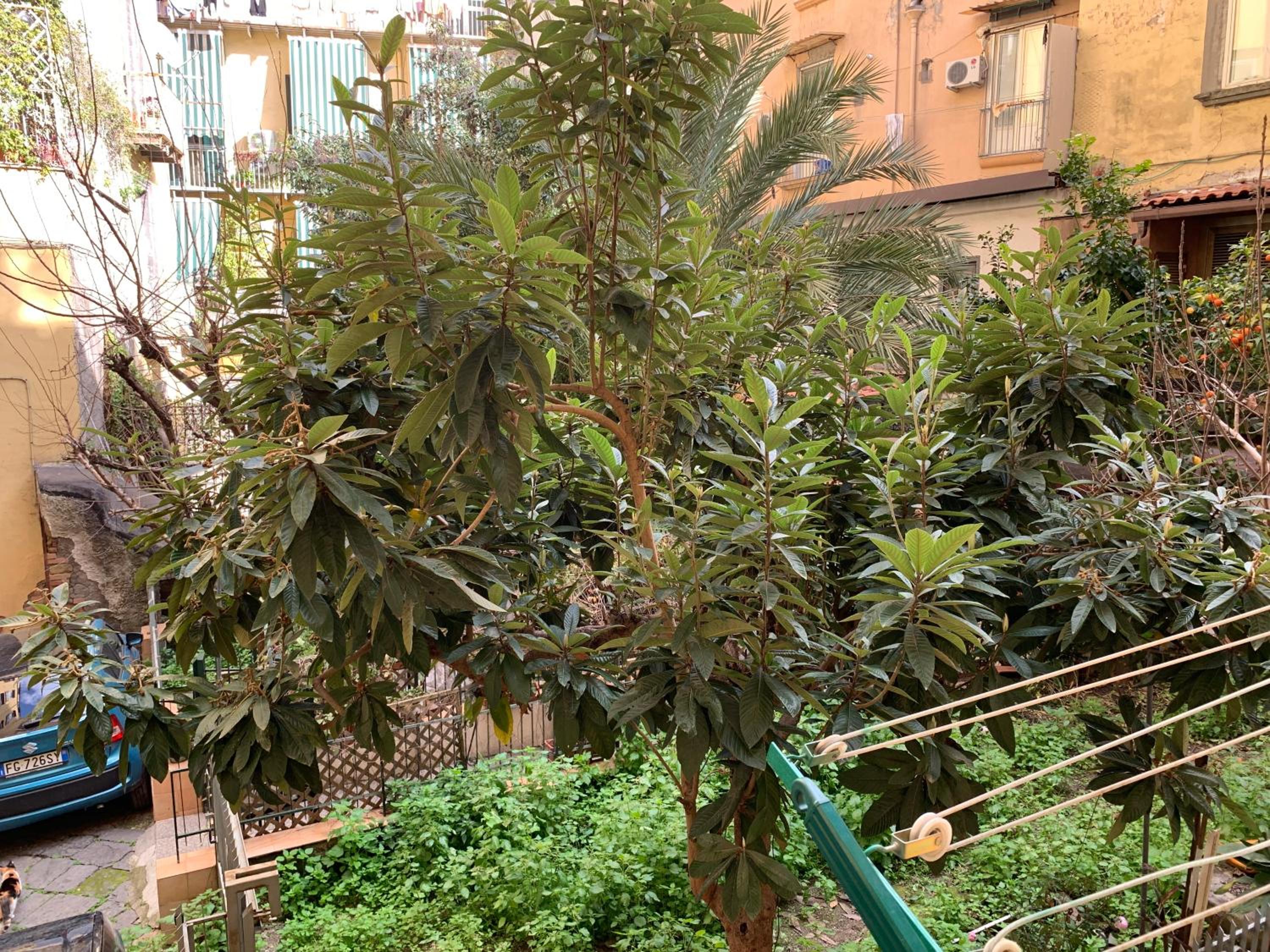 Da NINETTA RESTERETE SENZA PAROLE, GARANTITO!