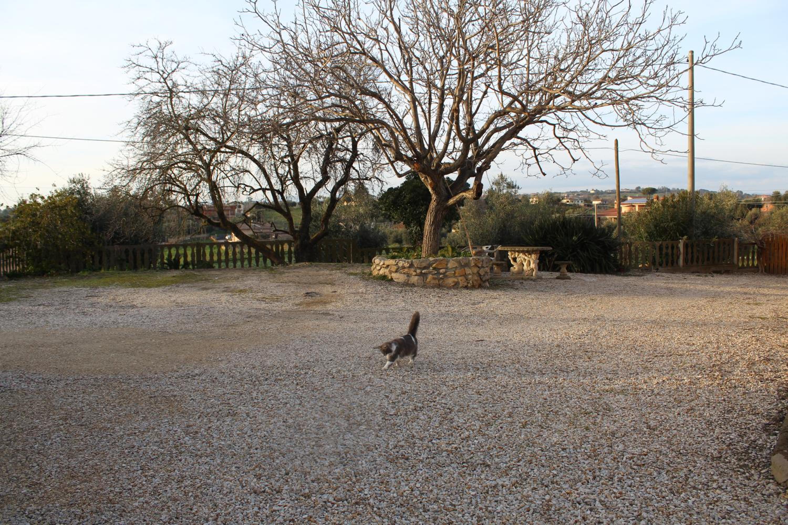 Le Casette in Collina view 4