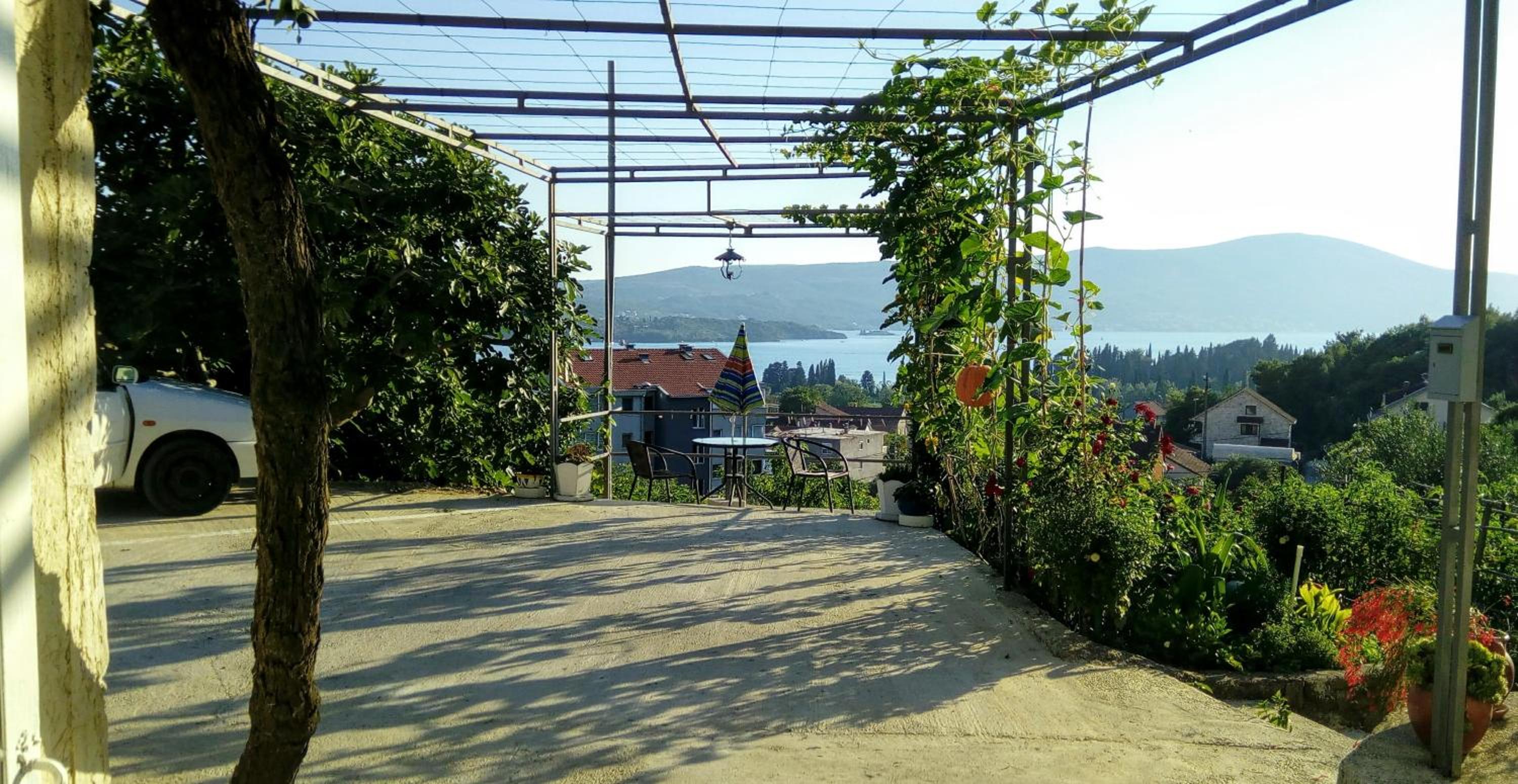 Apartmani Bosco view 4