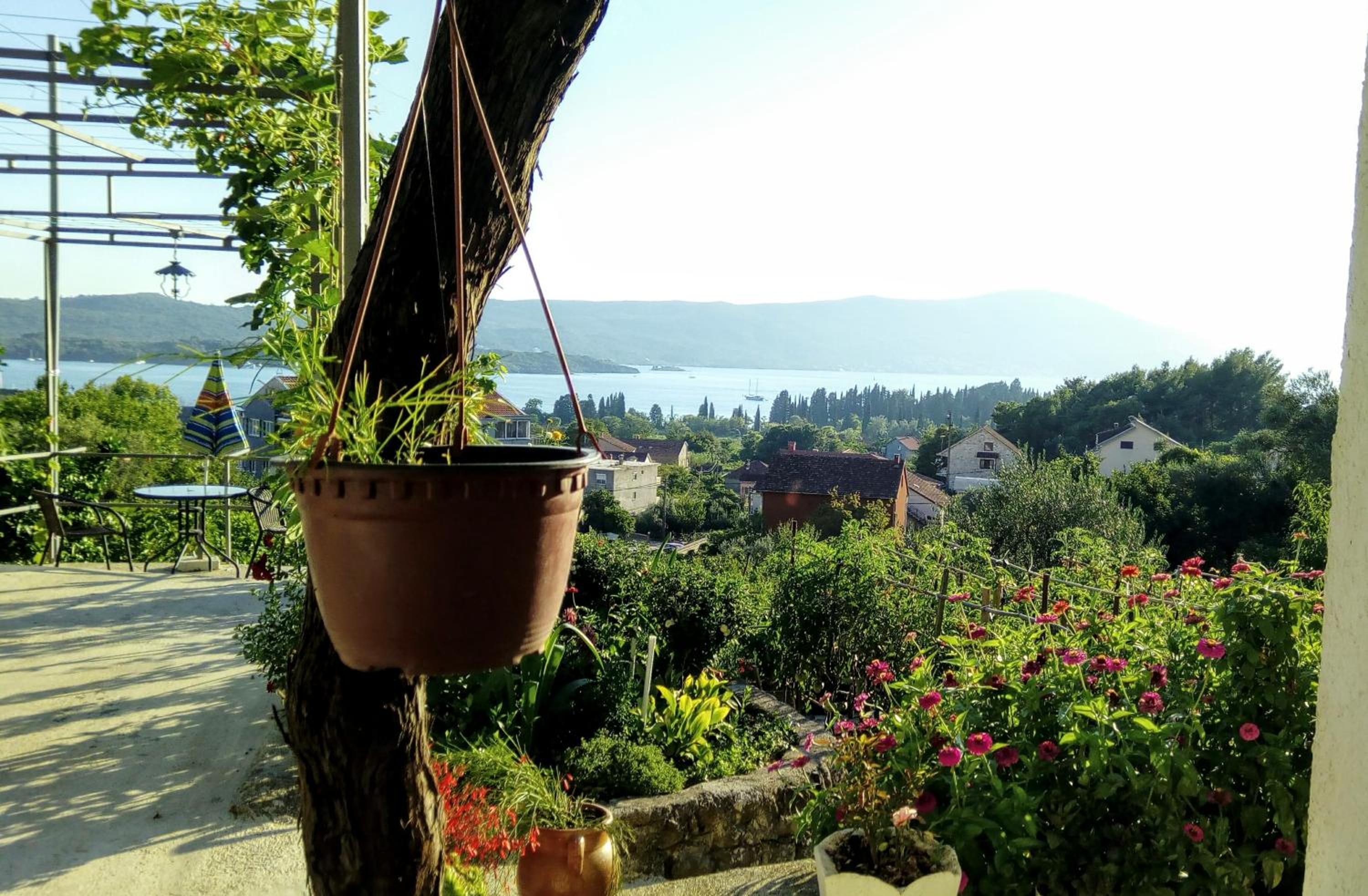 Apartmani Bosco view 5