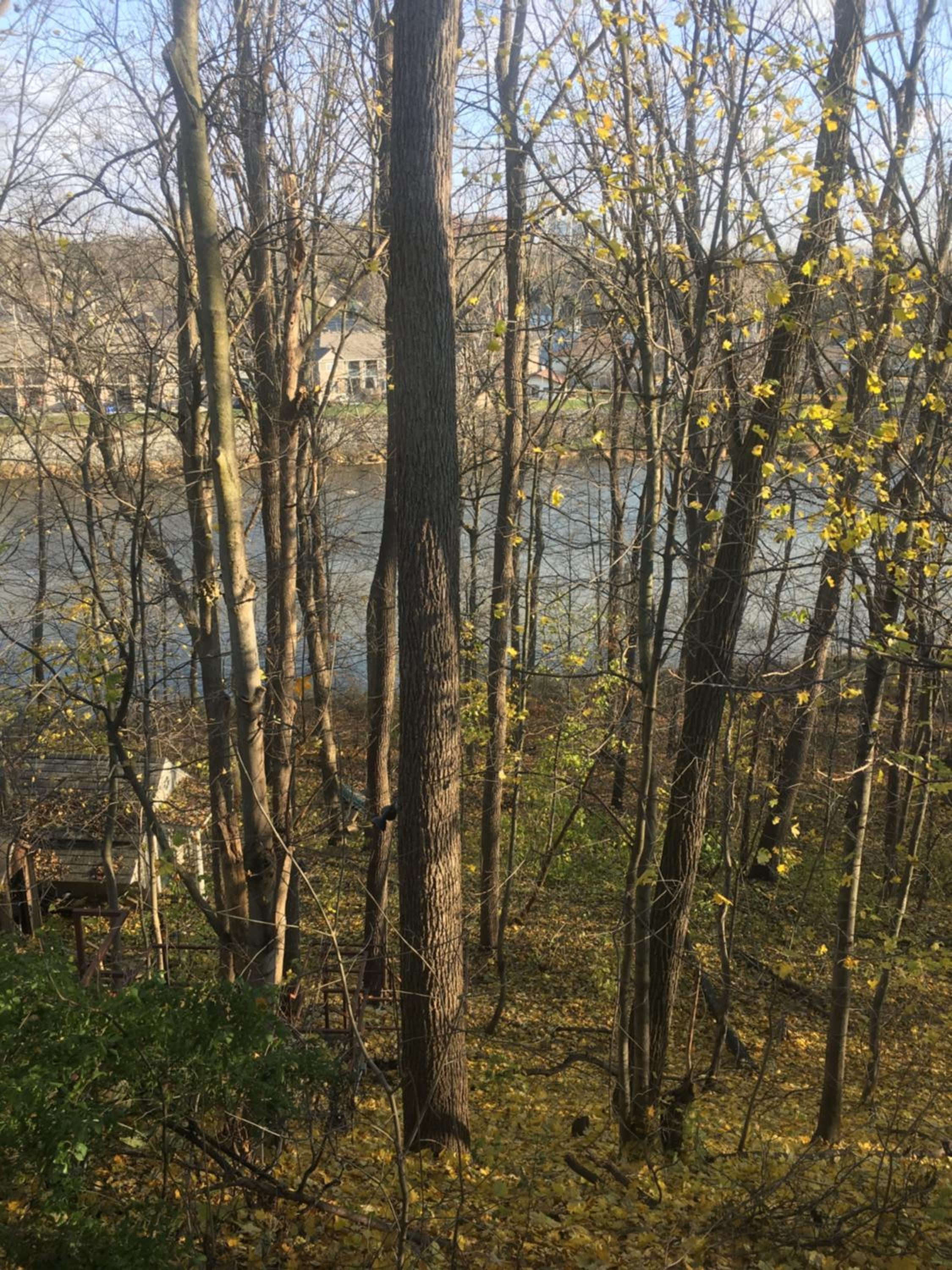 The Carriage House Flat - Downtown Paris Canada view 5