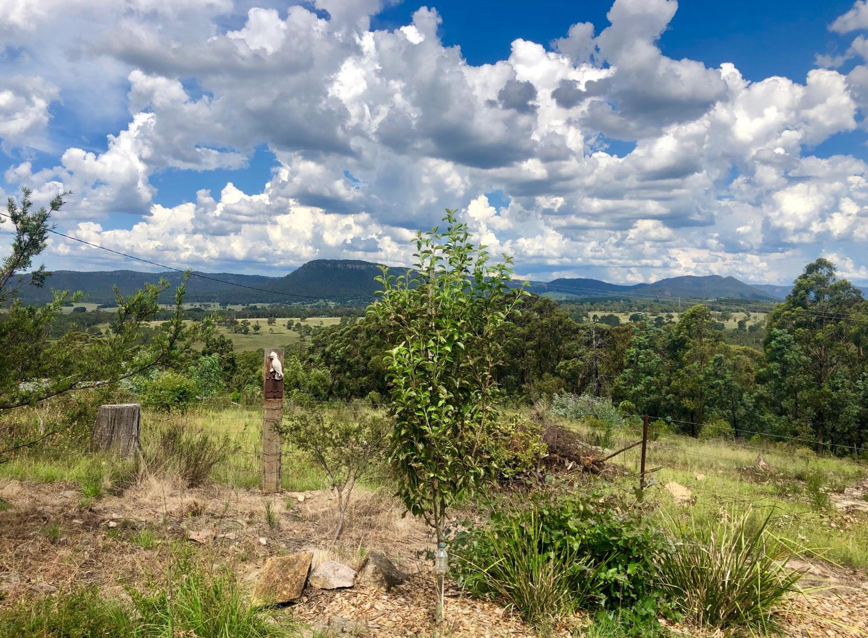 Hartley Valley Views