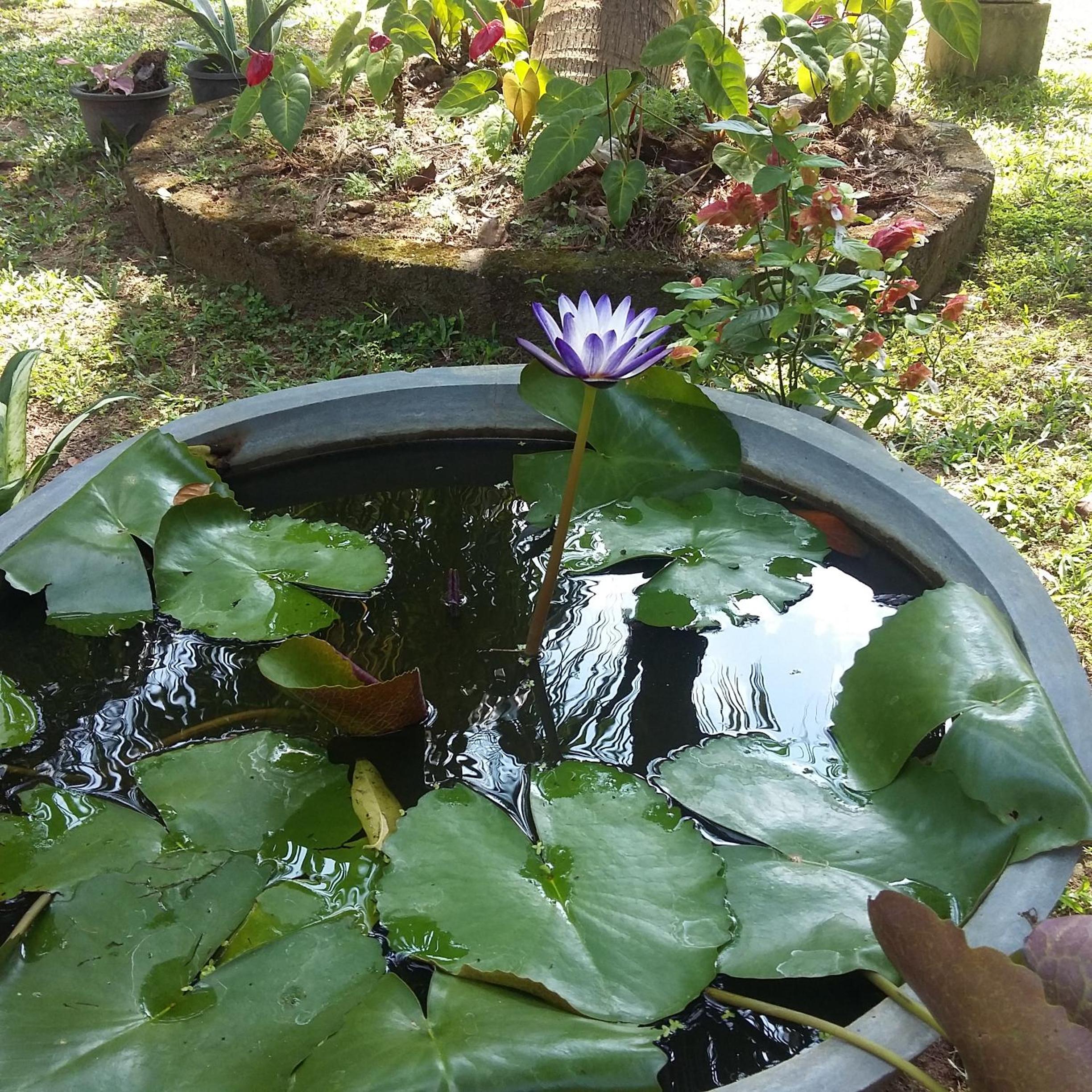 Photo 34