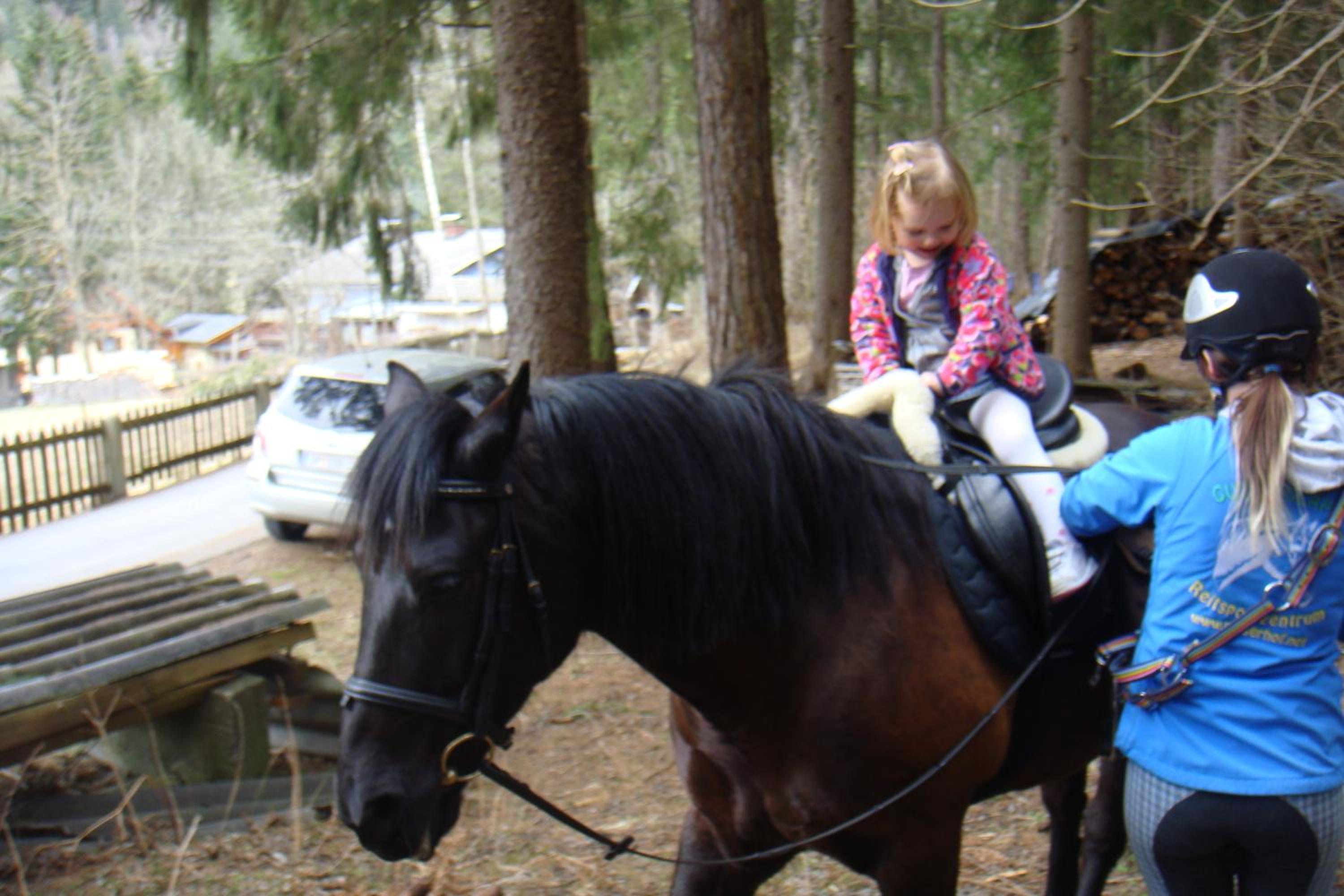 Photo 44