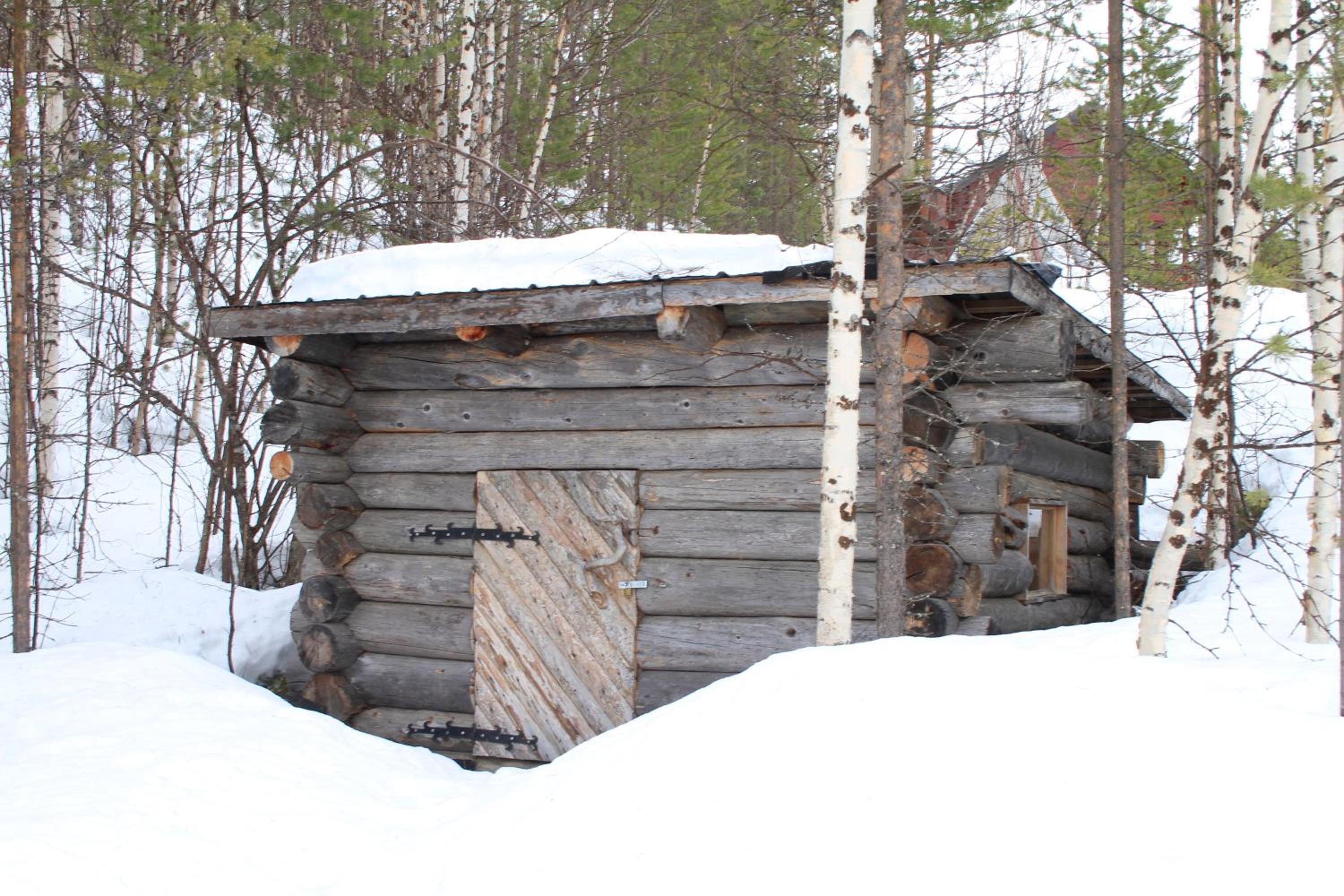 Photo 15