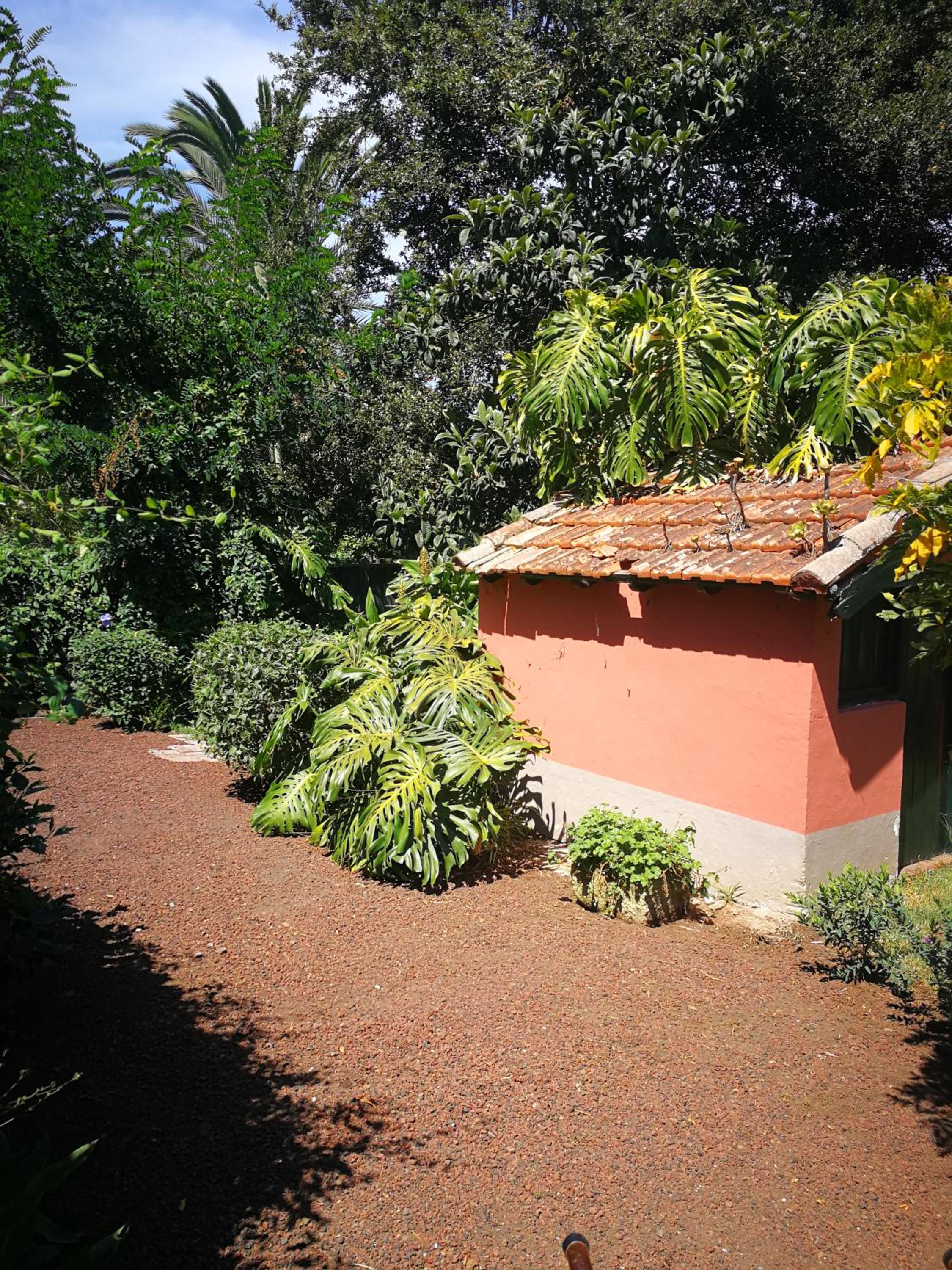 Jardines de Hortensia - Vacation home Tenerife view 3
