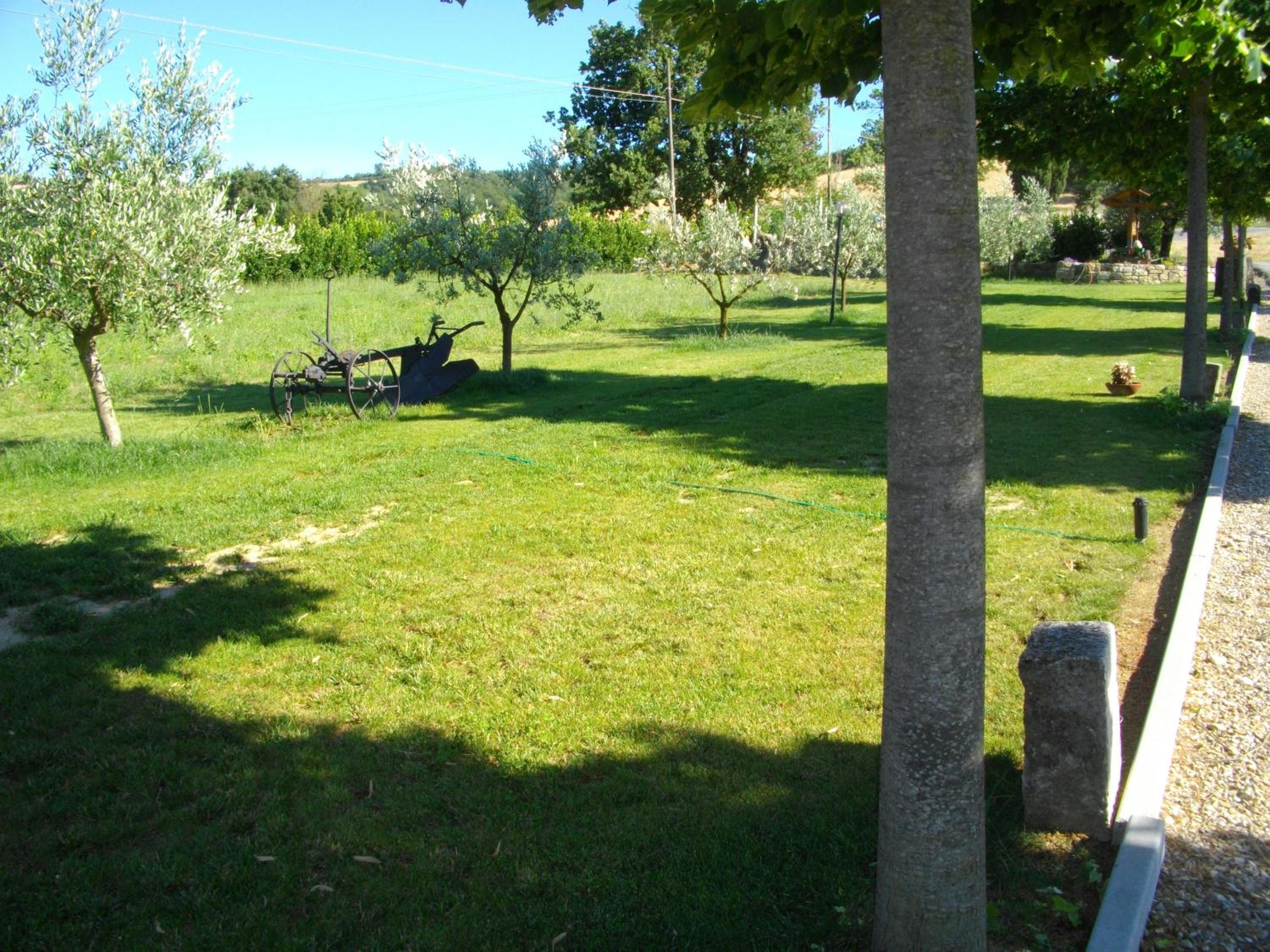 Photo 29