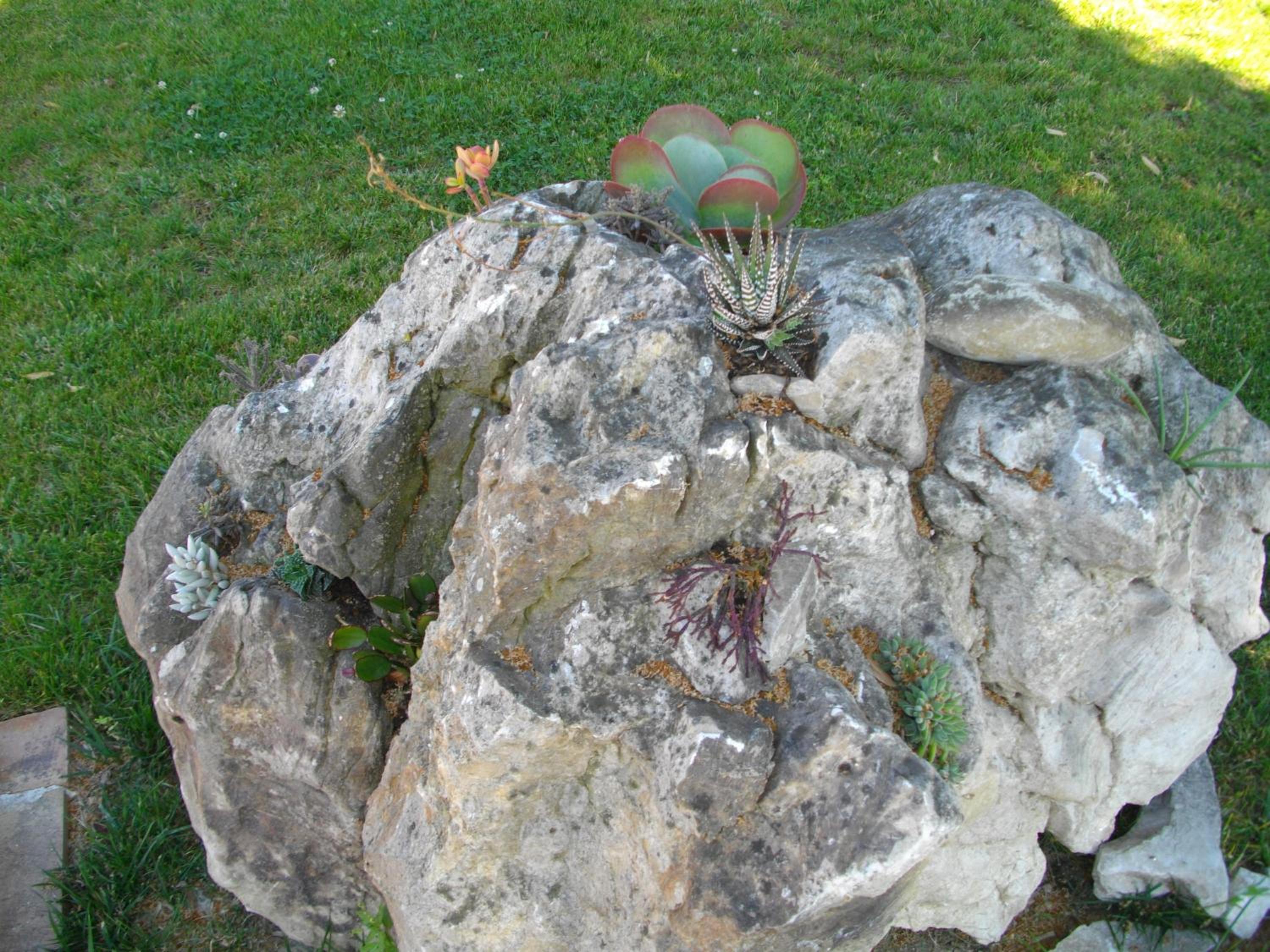Photo 30