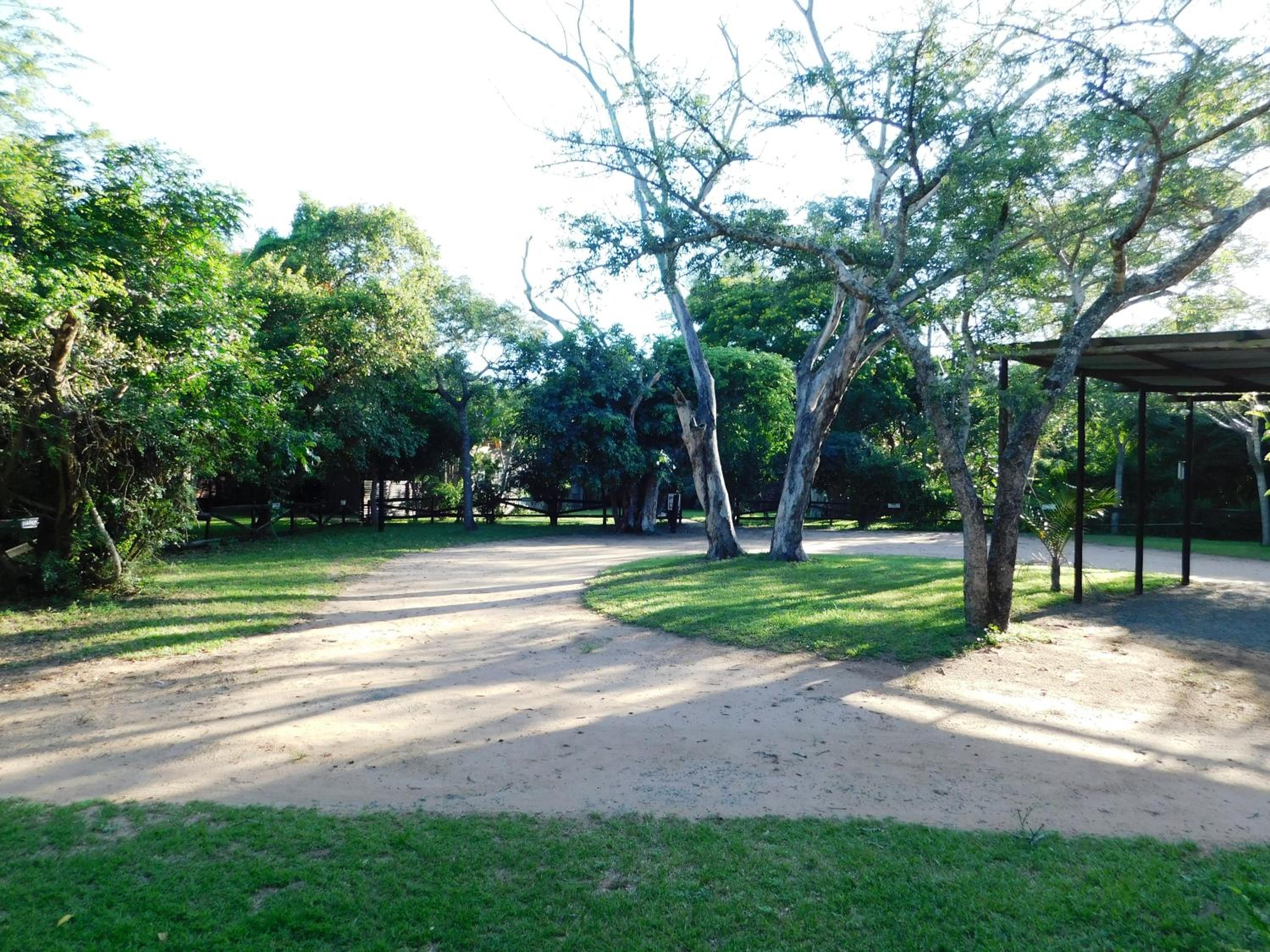 Photo 26
